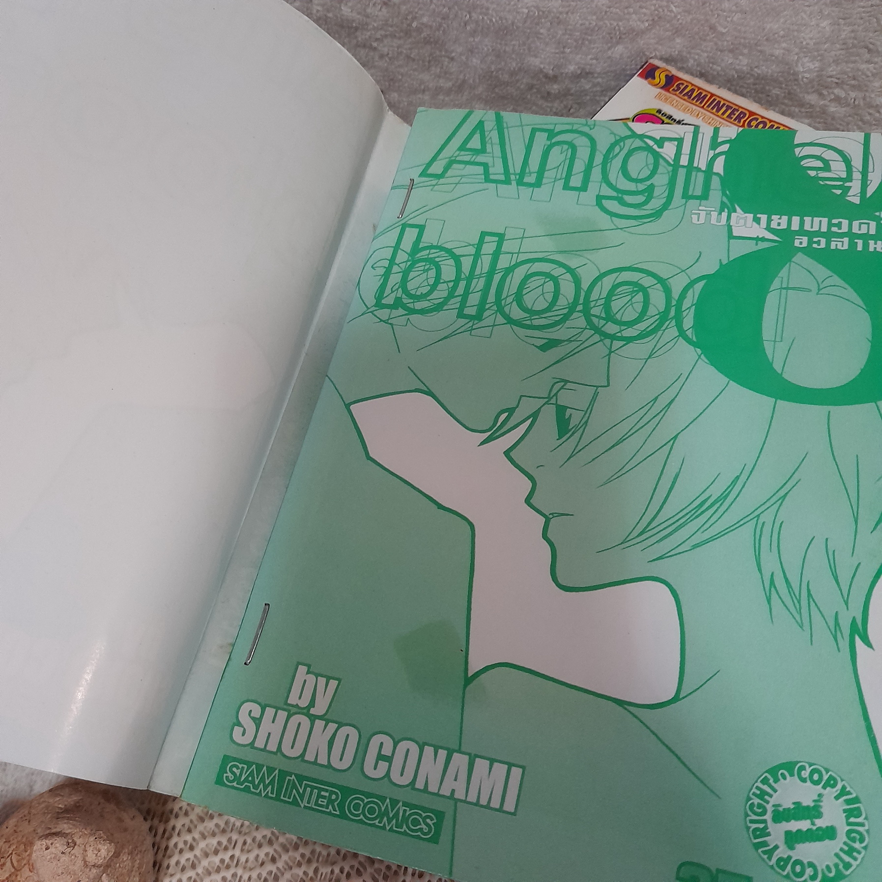 ANGHEL BLOOD จับตายเทวดา 1-8 จบ