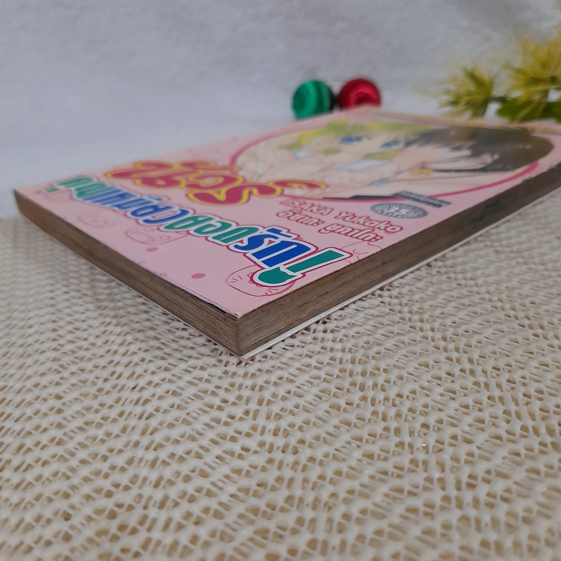 นัวร์ คุณเหมียวยอดรัก / Iisaka Yukako