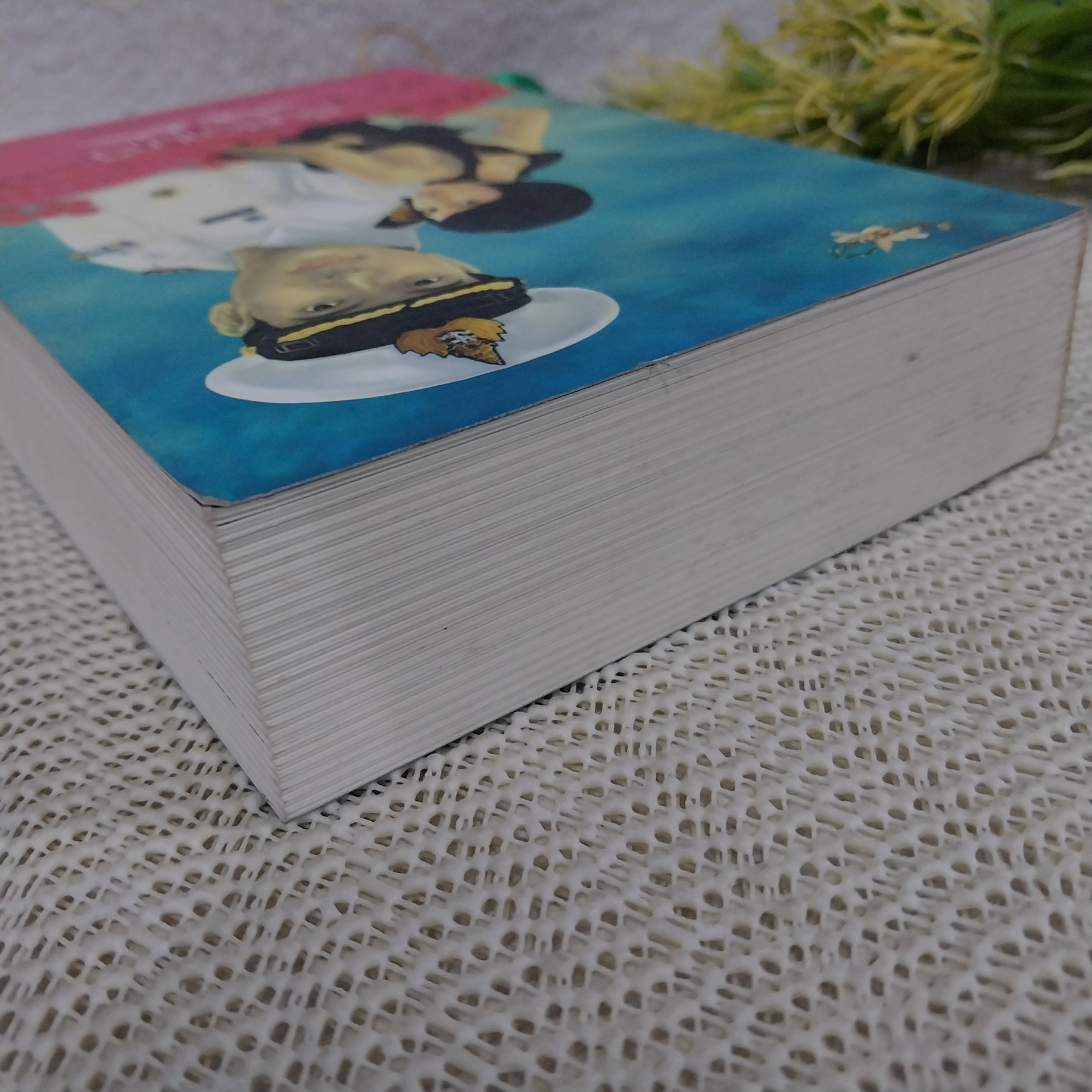 ชื่นชีวานาวี / กาญนา นาคนันทน์