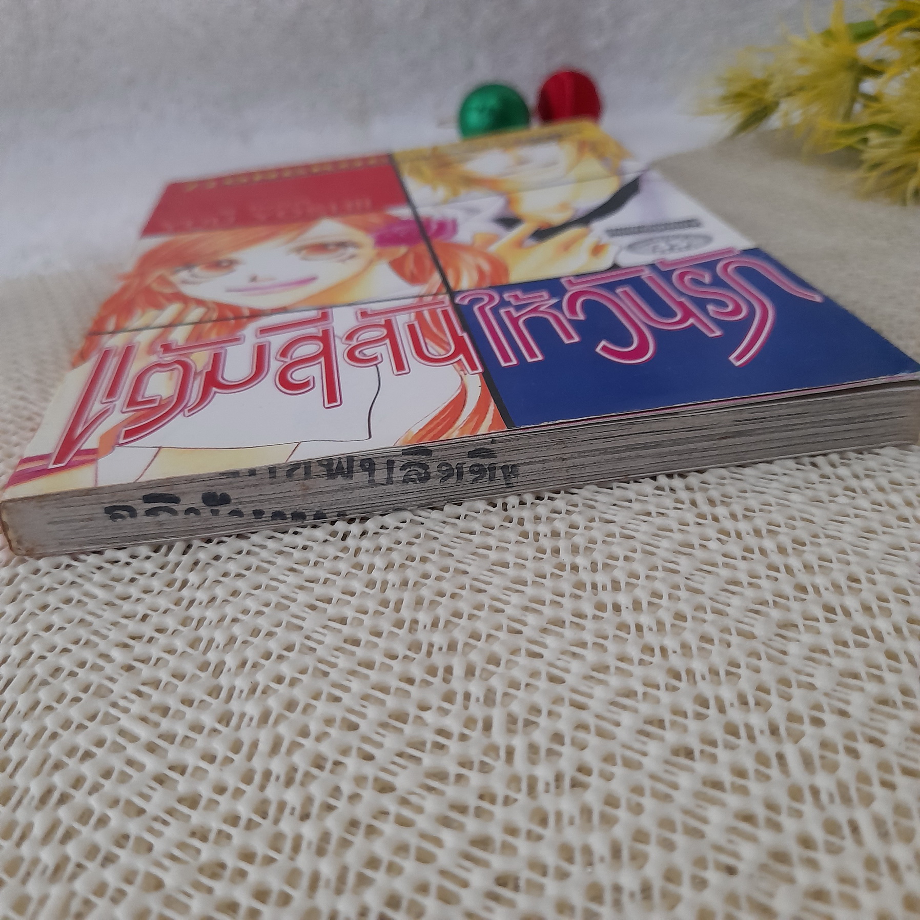 แต้มสีสันให้วันรัก