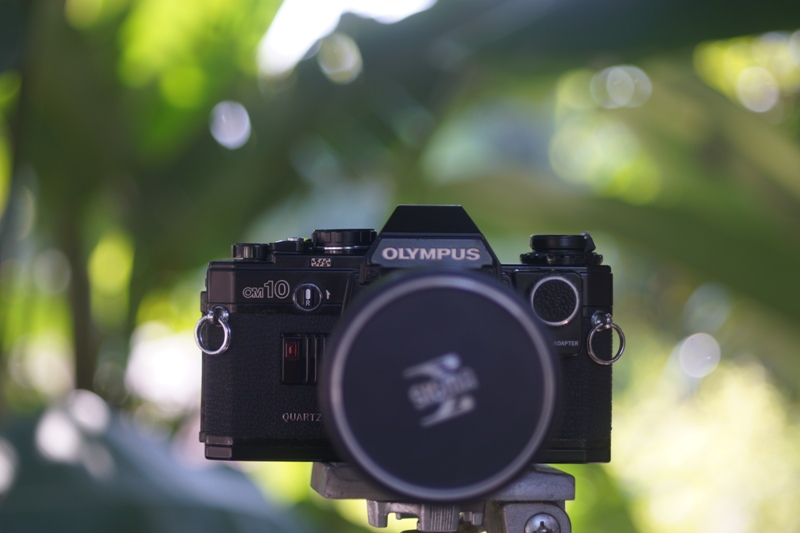 OLYMPUS OM10+SIGMA-XQ MC 39-80MM.F3.5 MACRO