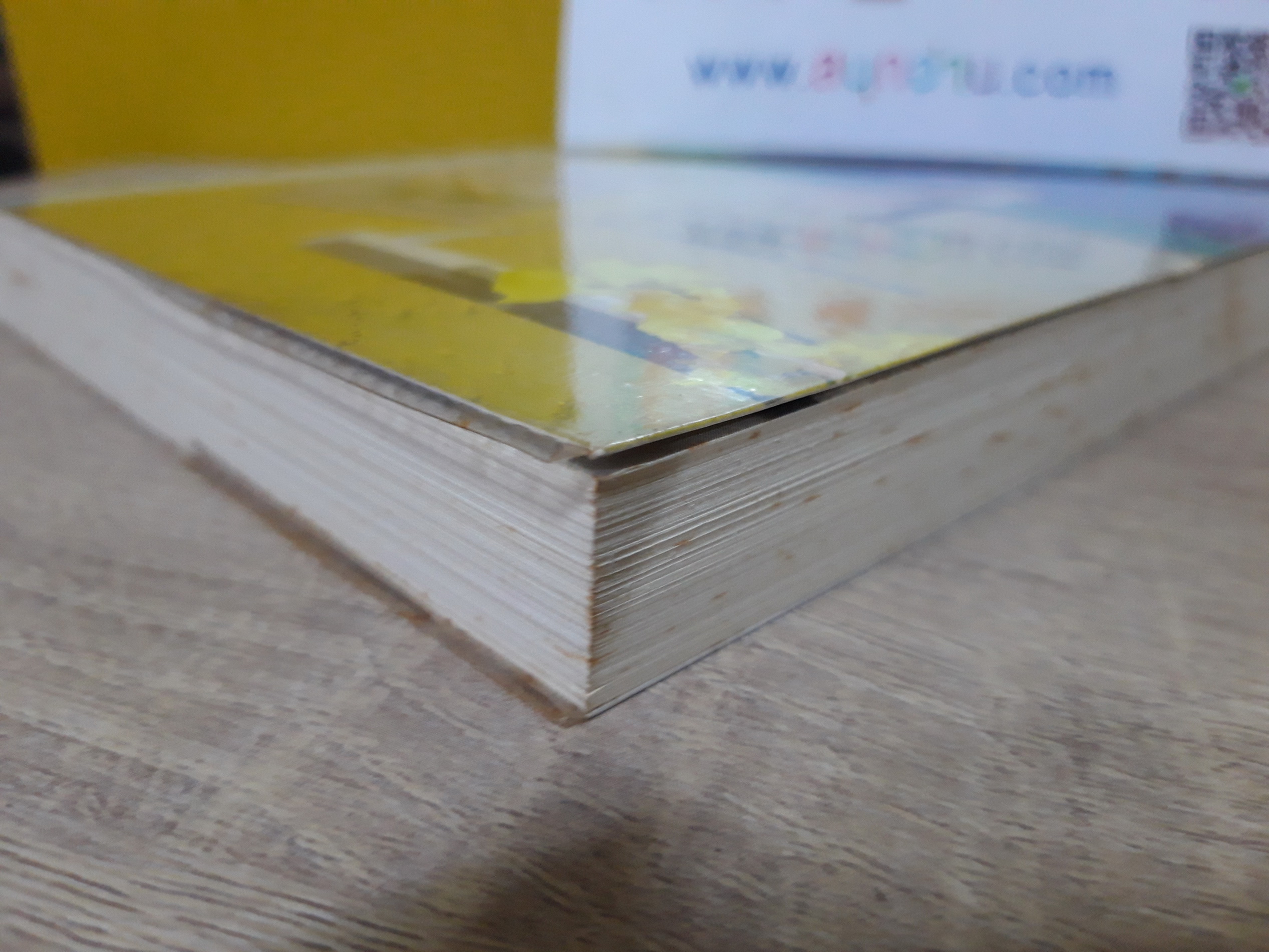 รอยรักร้าย / ประวาชิณี