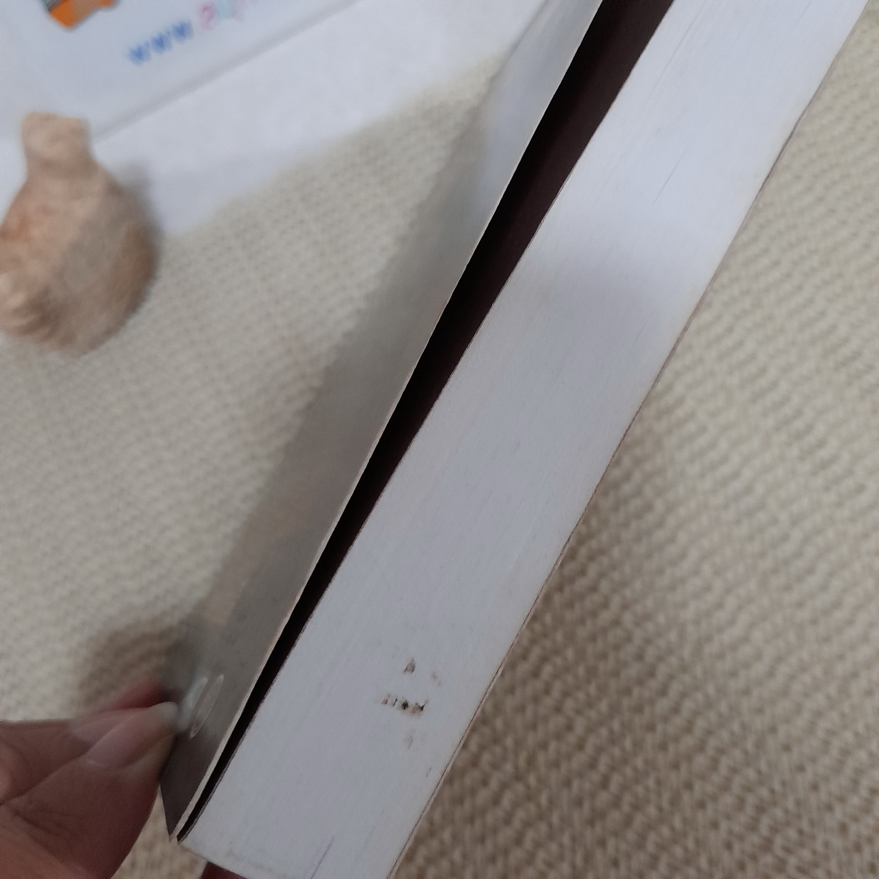 เสือ / พรรณวดี