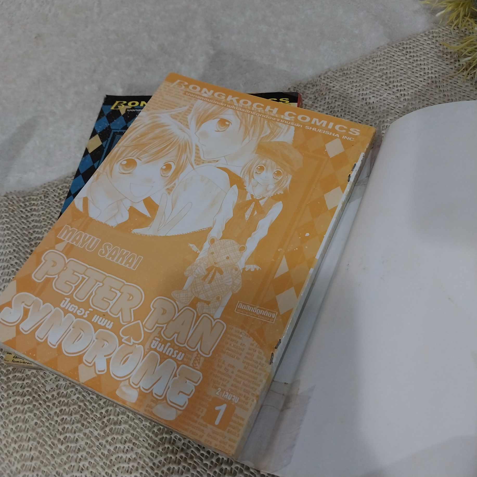 Peter Pan Syndrome 1-2 จบ