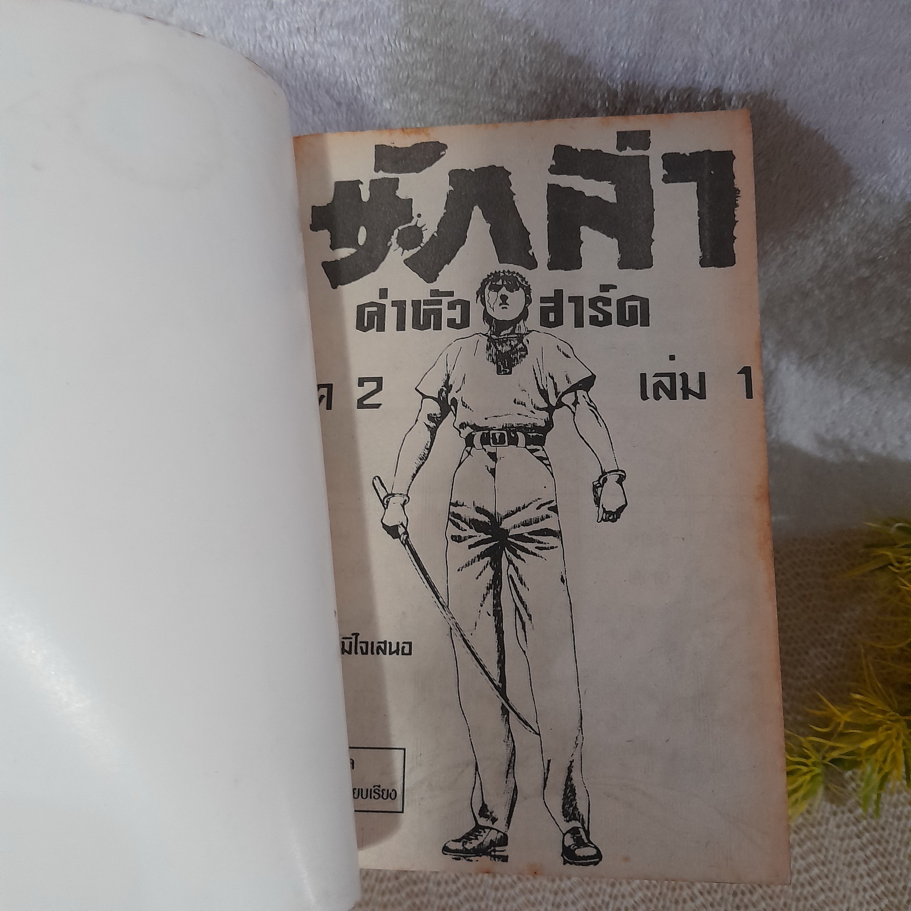นักล่าค่าหัวฮาร์ต ภาค 1-2 จบ (รวม 10 เล่ม)