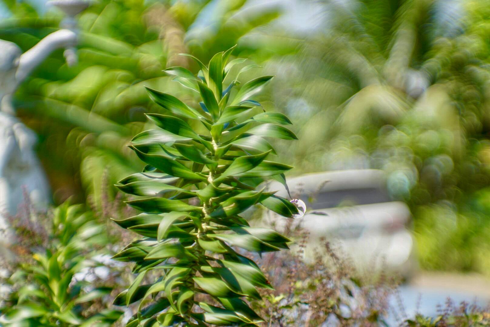 JUPITER-9 85MM.F2 M42 MOUNT