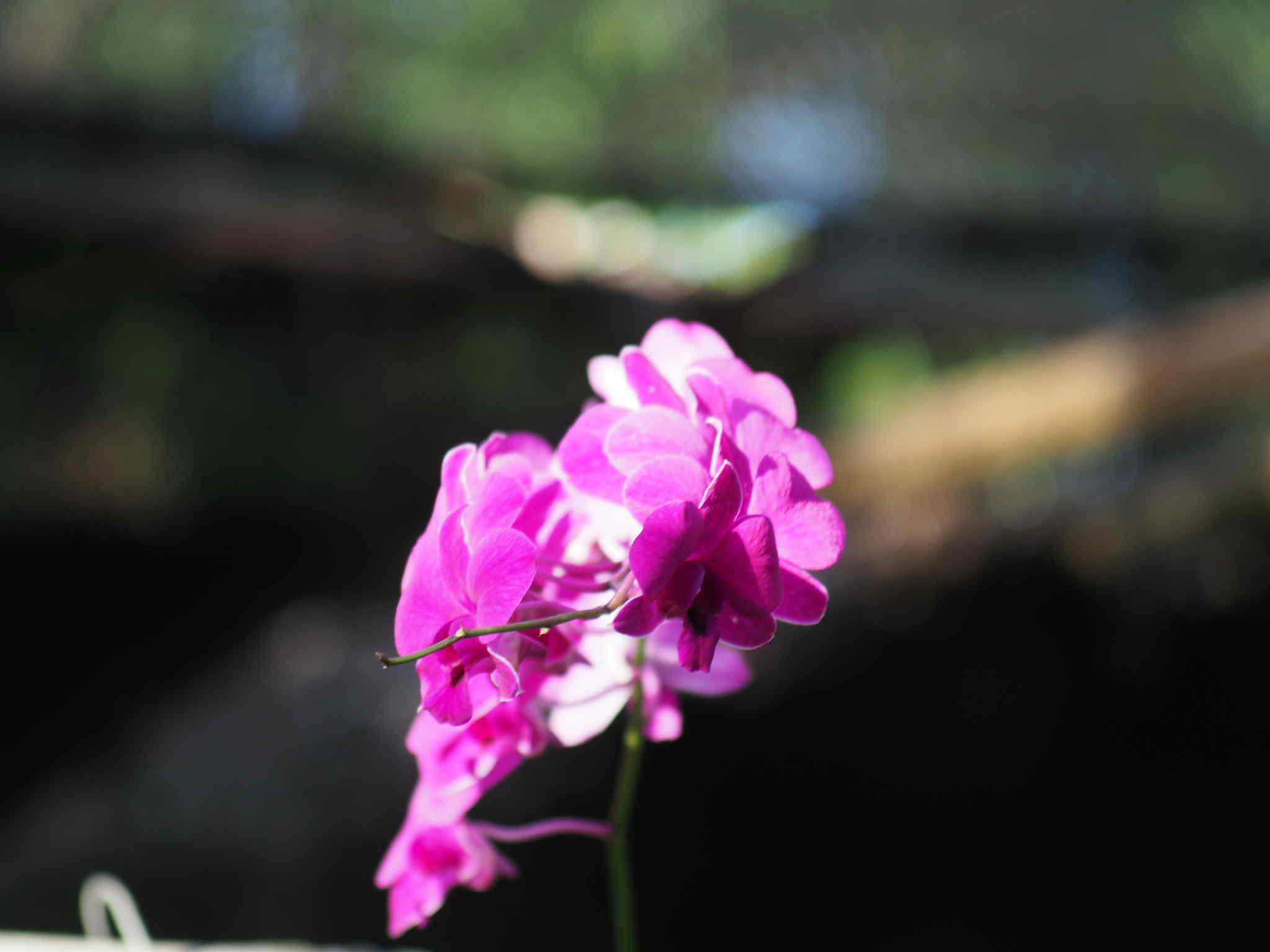 CANON ZOOM LENS FD 70-150MM.F4.5 FD MOUNT