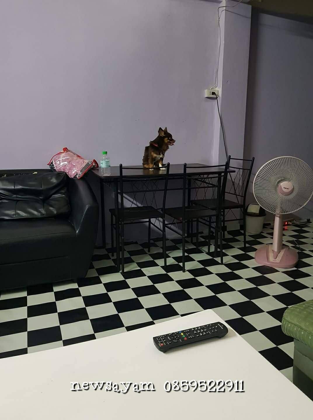 ลายเสื่อน้ำมัน อัพเดด 1 สิงหาคม 2566