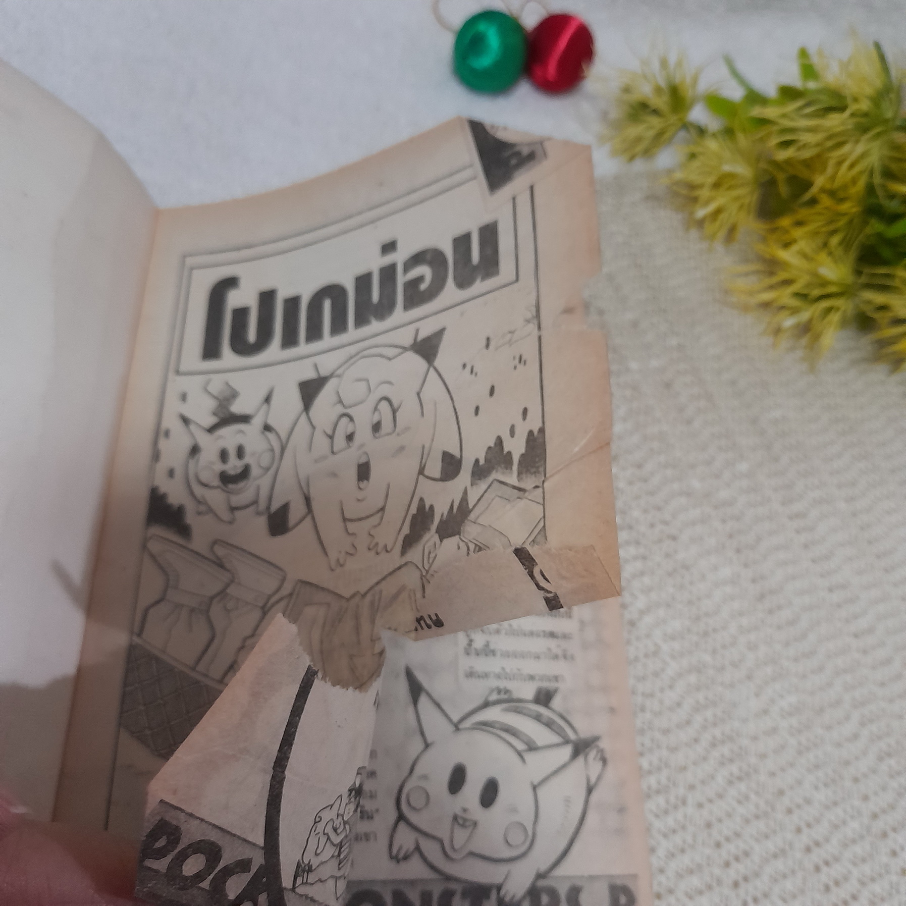 โปเกม่อน