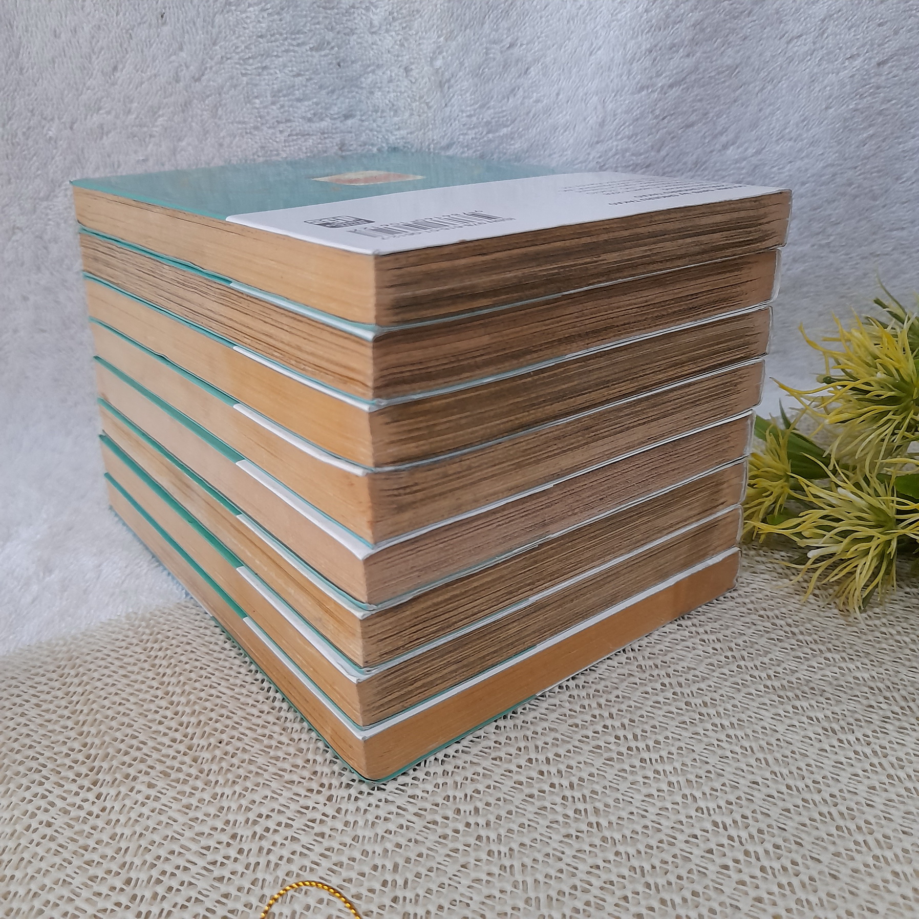 Golden Days ย้อนยุคไปสะดุดรัก 1-8 จบ