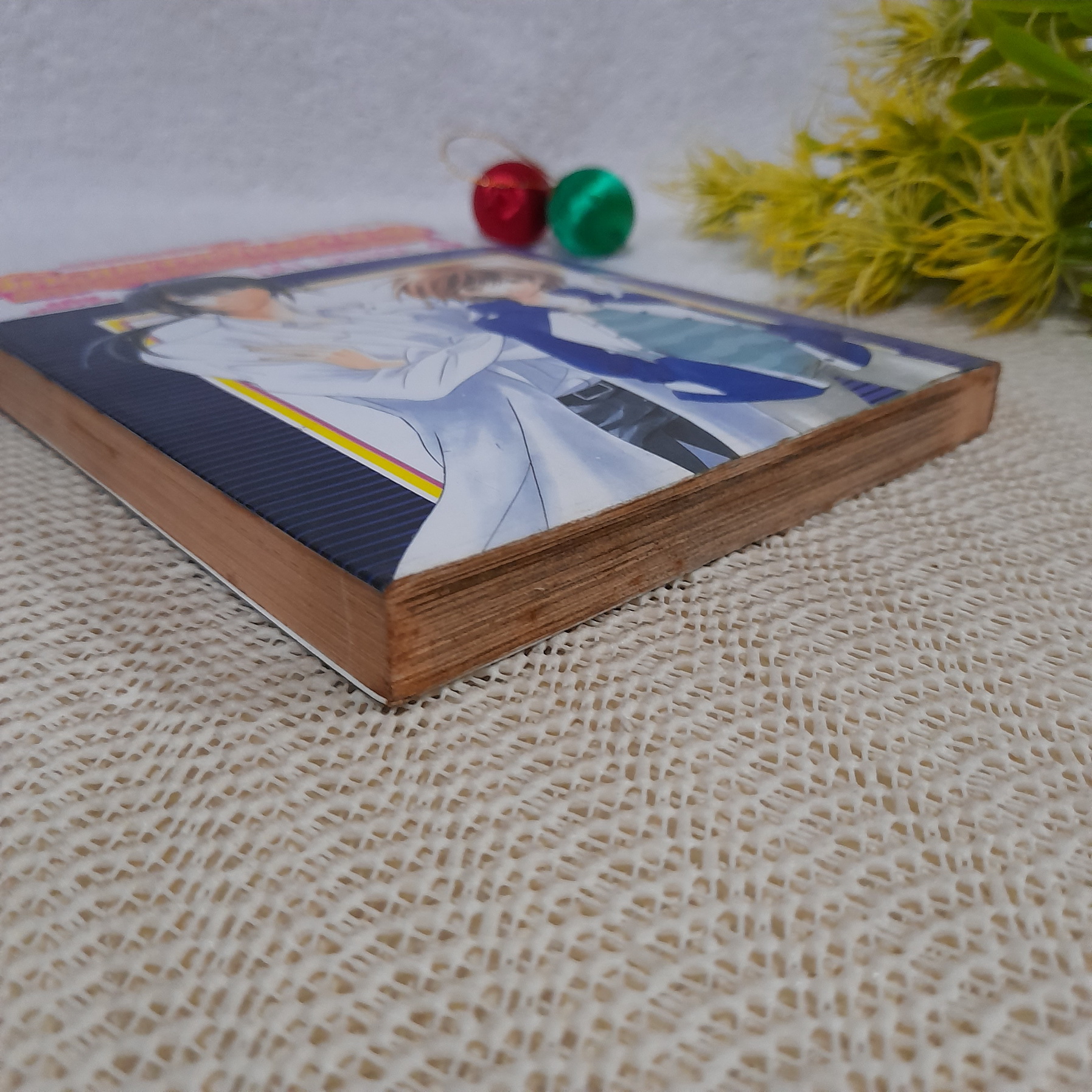 สัตวแพทย์แสนกล กับผู้พิทักษ์เจ้าตัวน้อย