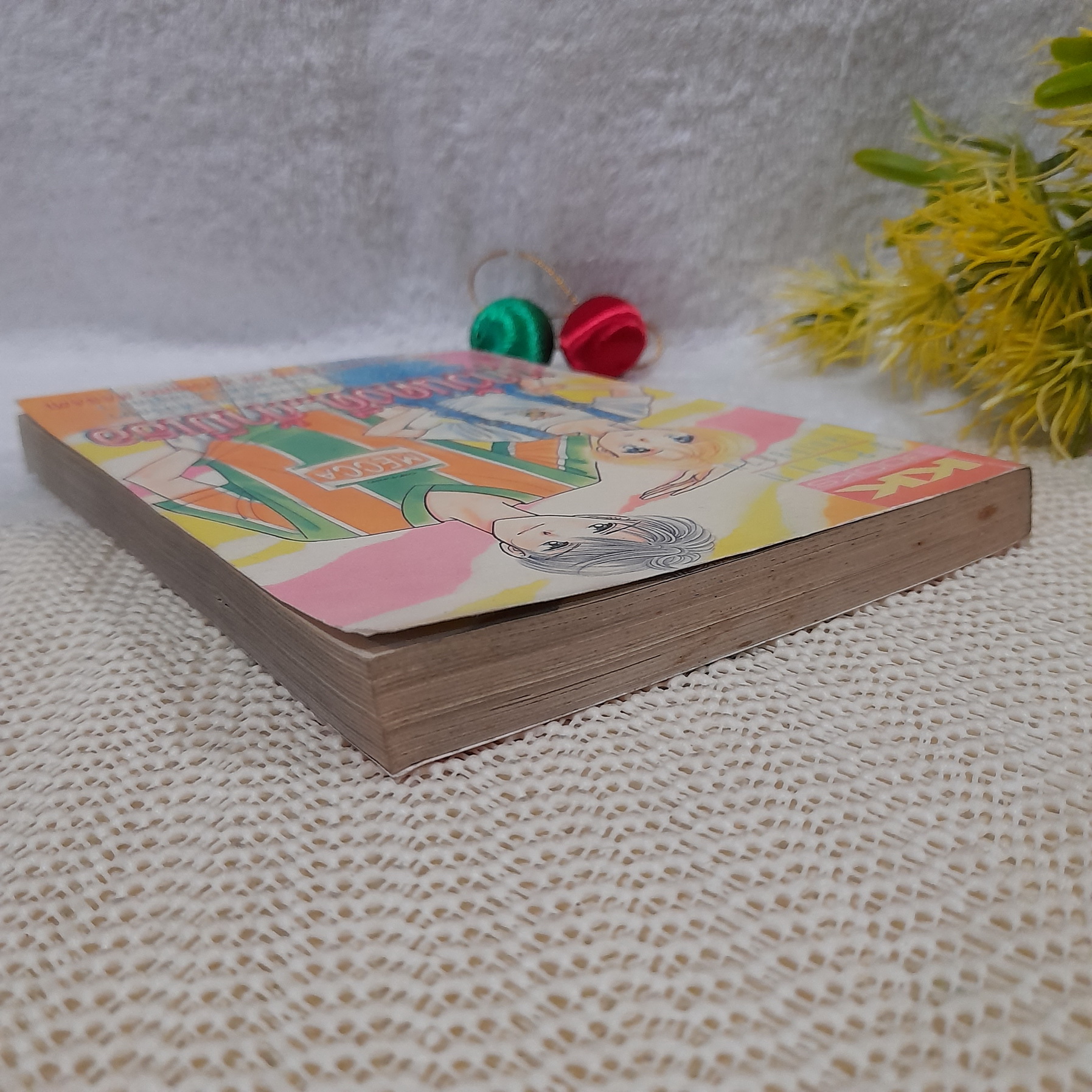 ทุกวันคงดีถ้ามีเธอ / Hoshino Masami