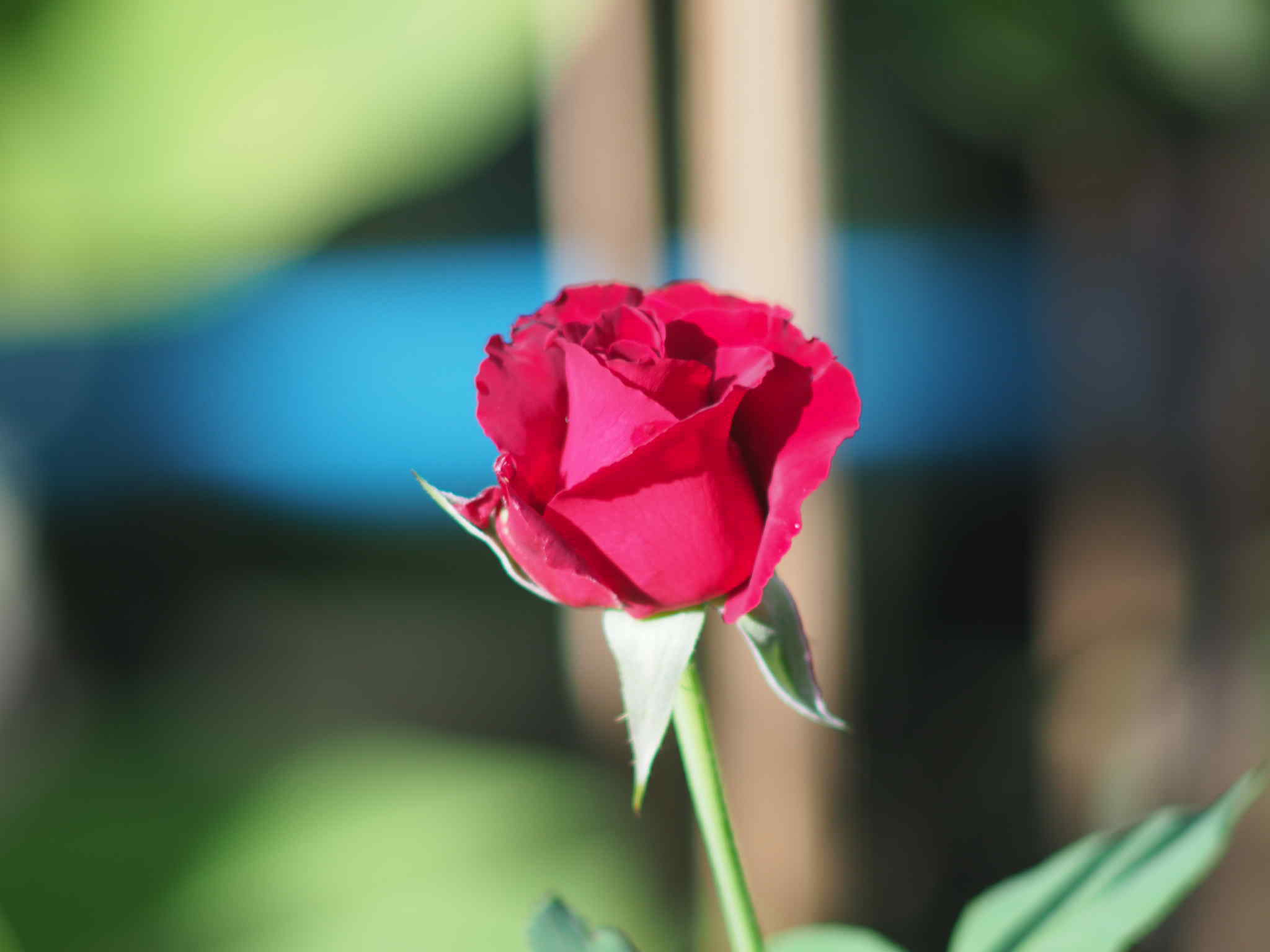 SMC PENTAX-M 200MM.F4 PK MOUNT