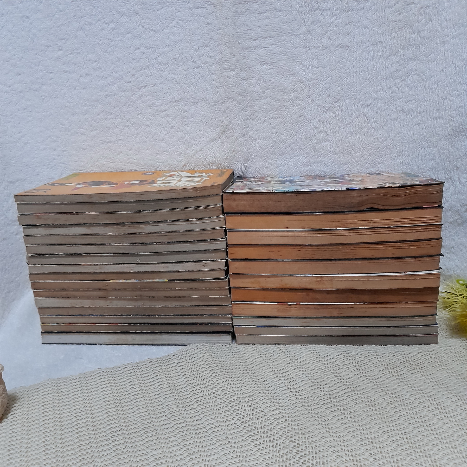 ราชันย์แห่งภูต (shaman king) 1-32 จบ / ** ขาดเล่ม 17,18,20,22