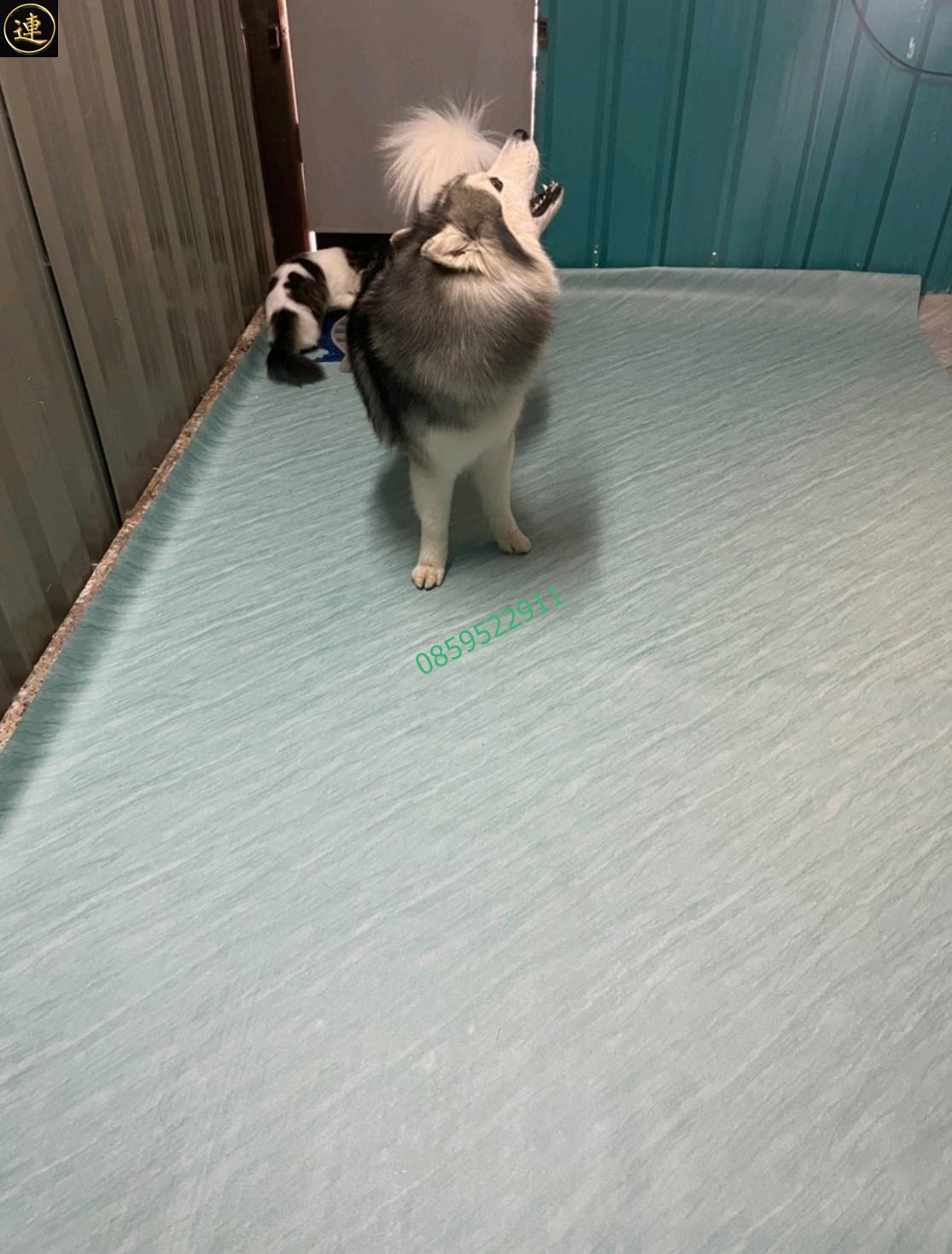 เสื่อน้ำมัน อัพเดด 2 มิถุนายน 2565