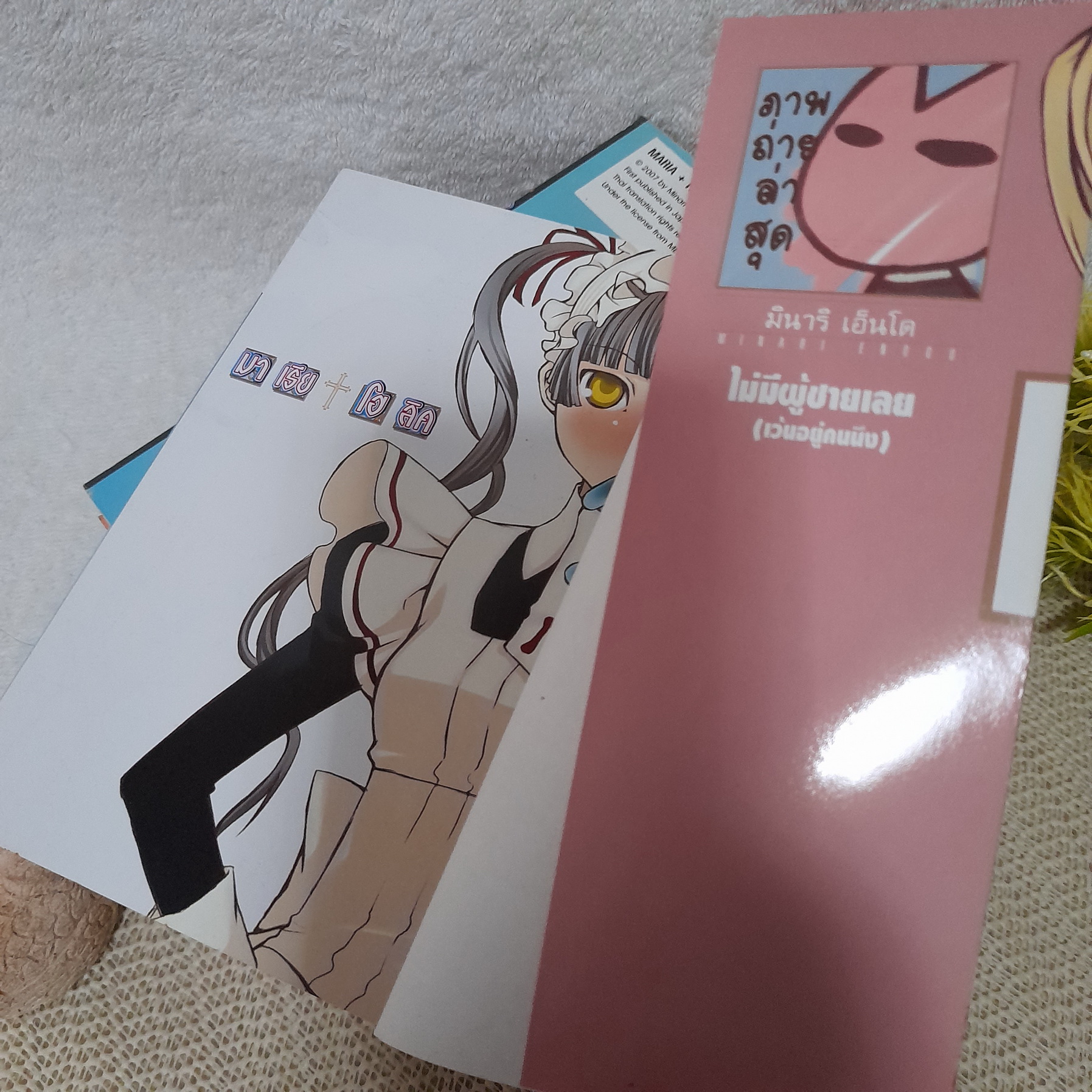 มาเรีย โฮลิค เล่ม 1-8 ไม่จบ / * ขาดเล่ม 9-11
