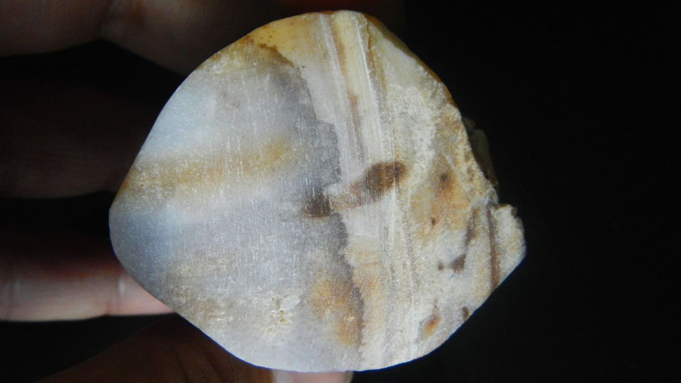 พระพิฆเนศไม้กลายเป็นหิน