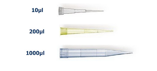 Pipette Tip ปิเปตทิป (1,000ชิ้น/แพ็ค)