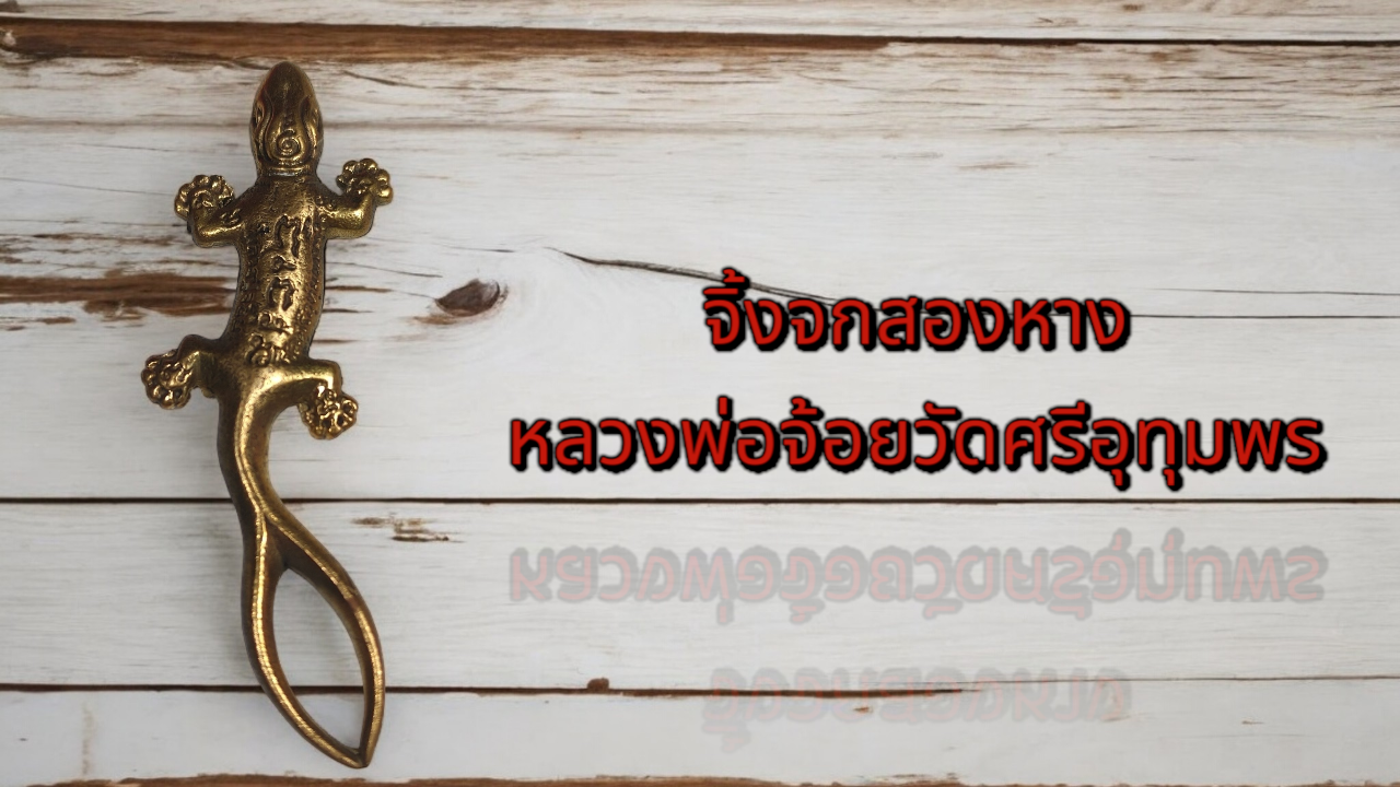 จิ้งจกสองหางหลวงพ่อจ้อยวัดศรีอุทุมพร