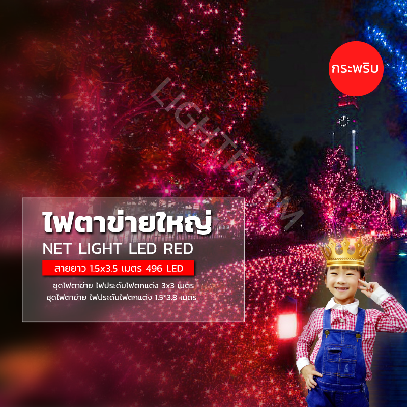 ไฟตาข่าย LED ขนาด 3 x 3 เมตร ไฟประดับตกแต่ง