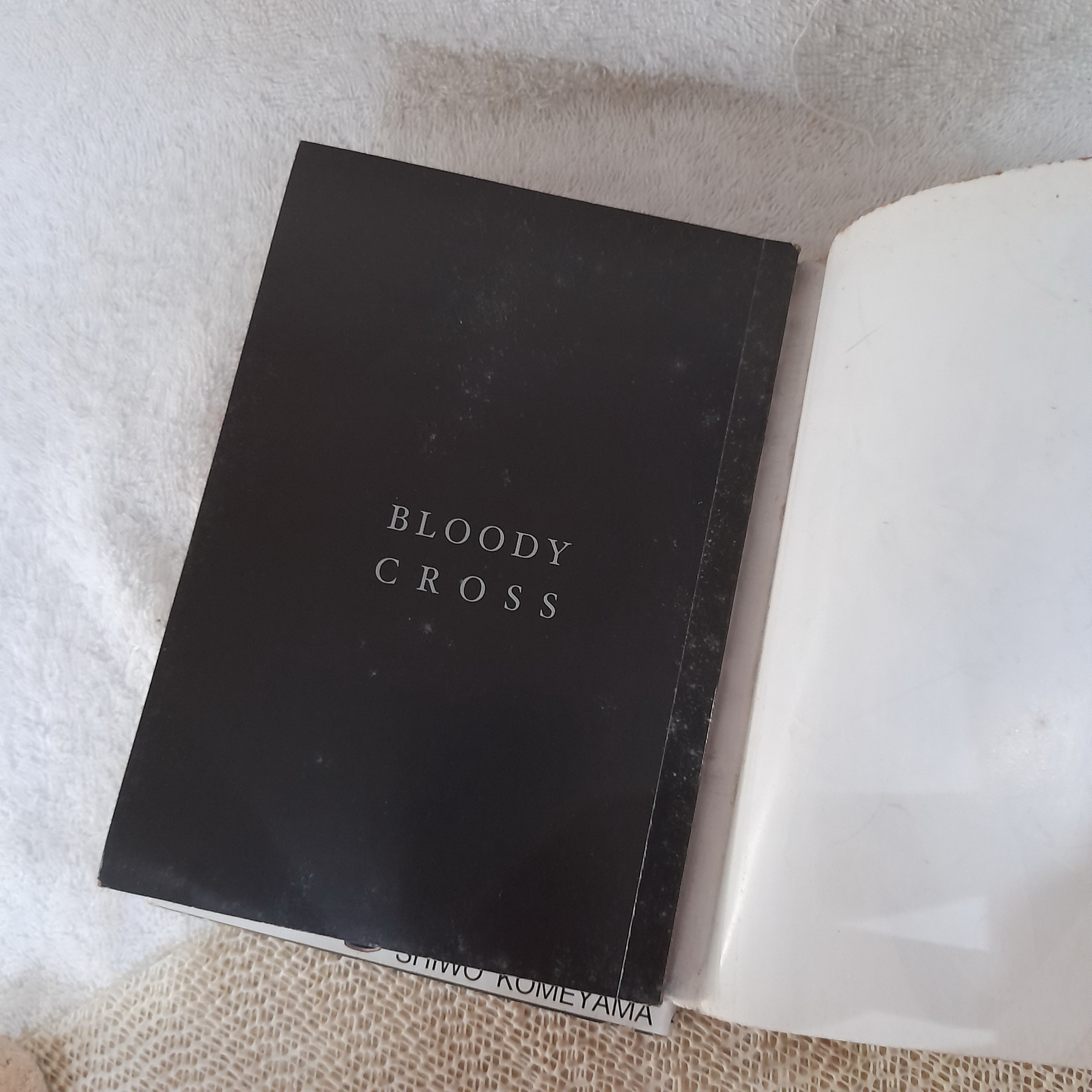 Bloody Cross กางเขนโลหิต 1-3 (ออกมาเท่านี้)