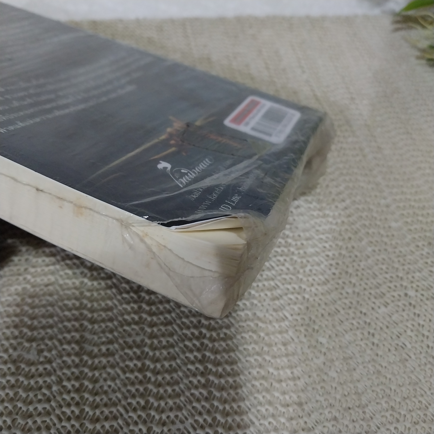 อหังการซาตานเถื่อน / baiboau