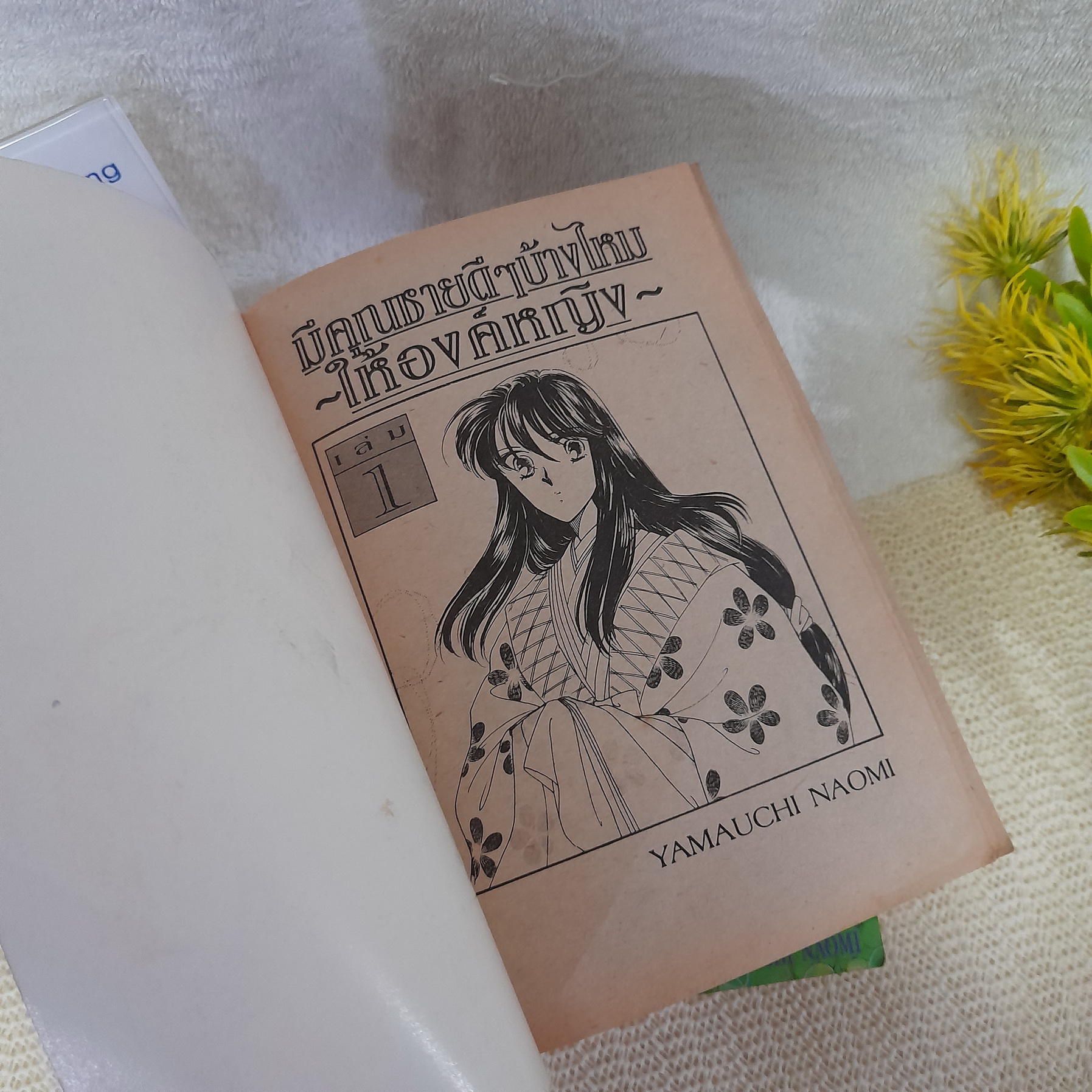 มีคุณชายดีๆ บ้างไหมให้องค์หญิง 1-3 จบ