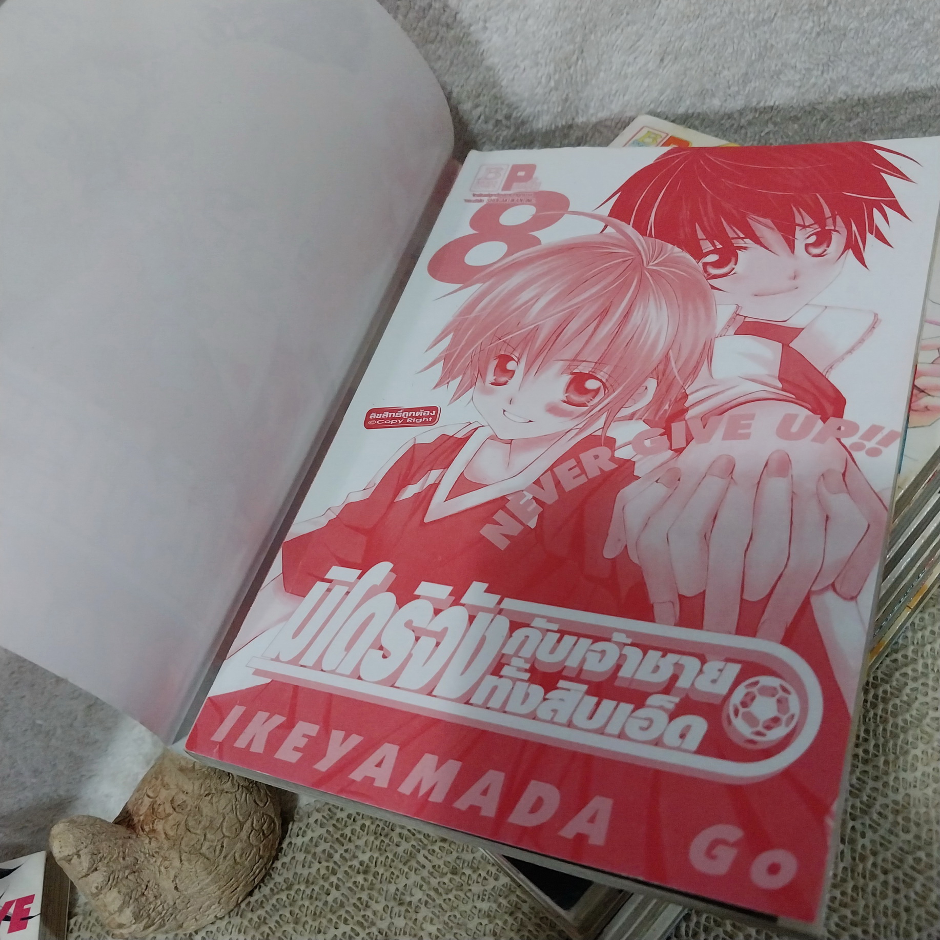 มิโดริจังกับเจ้าชายทั้งสิบเอ็ด เล่ม 1-9 / *ขาดเล่ม 10