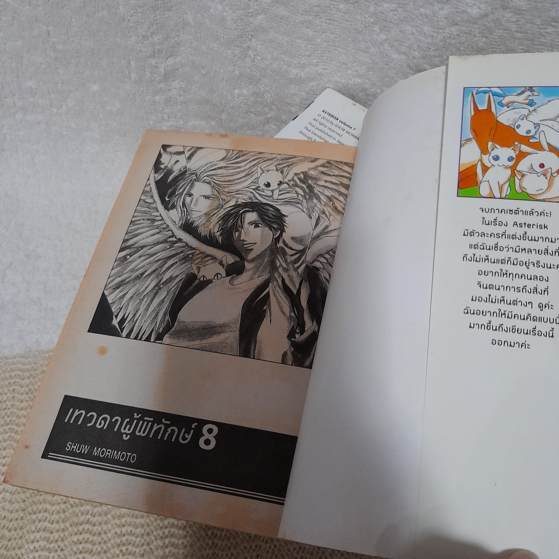 ASTERISK เทวดาผู้พิทักษ์ 1-8 จบ (การ์ตูน Y)