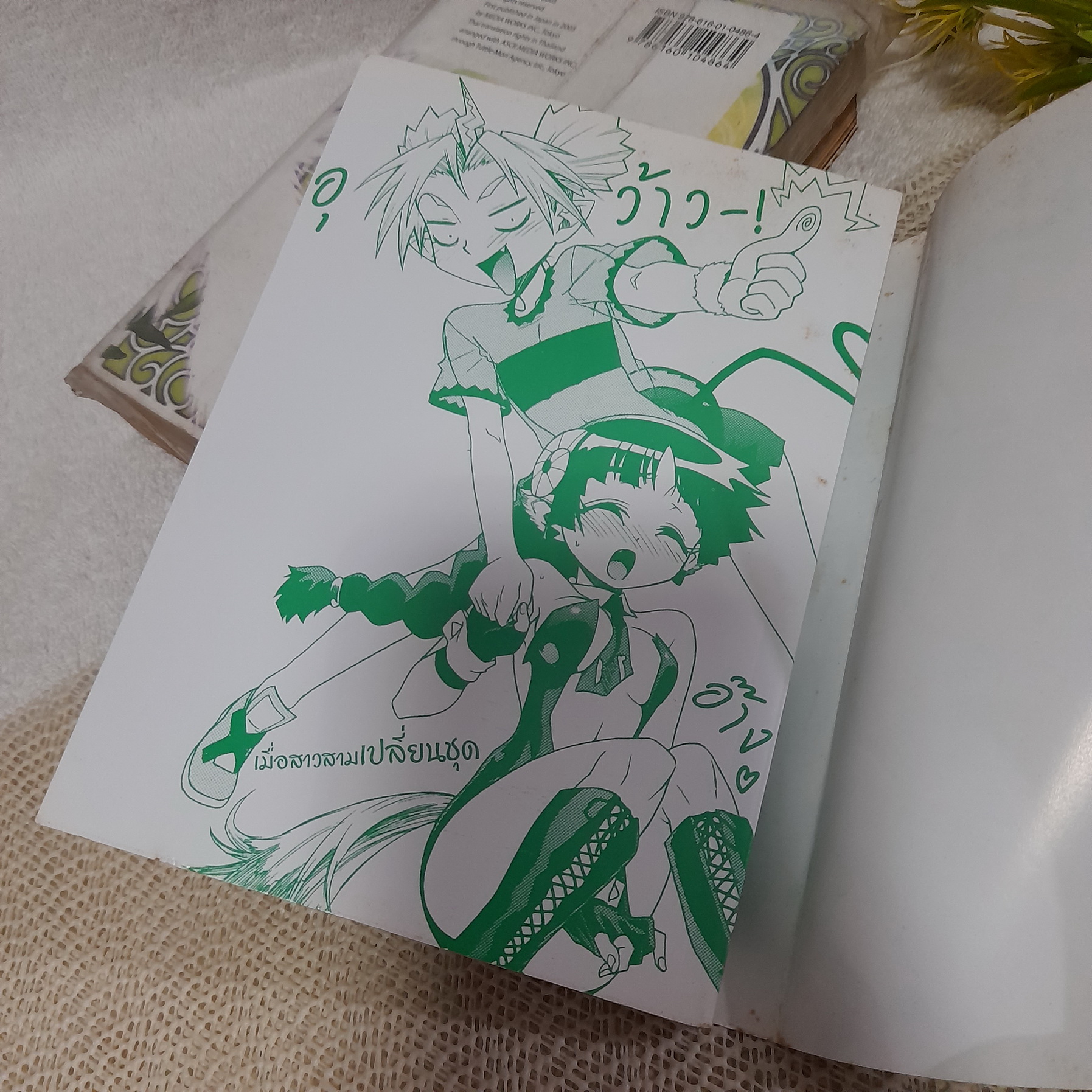 Stray Little Devil มารจริงๆ นะ 1-3,5 จบ / * ขาดเล่ม 4