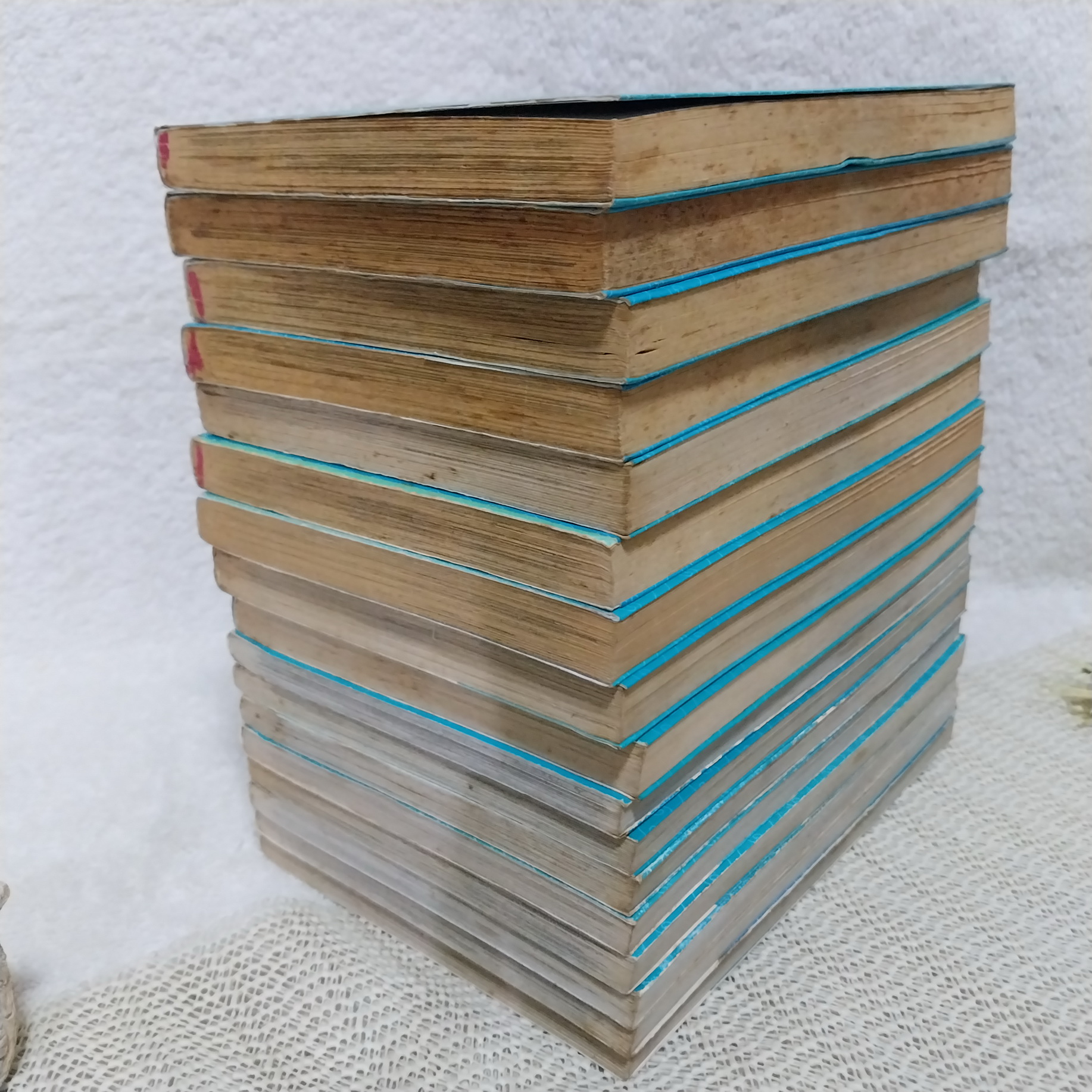 เสน่ห์สาวข้าวปั้น เล่ม 1-19 ไม่จบ / * ขาดเล่ม 20-23