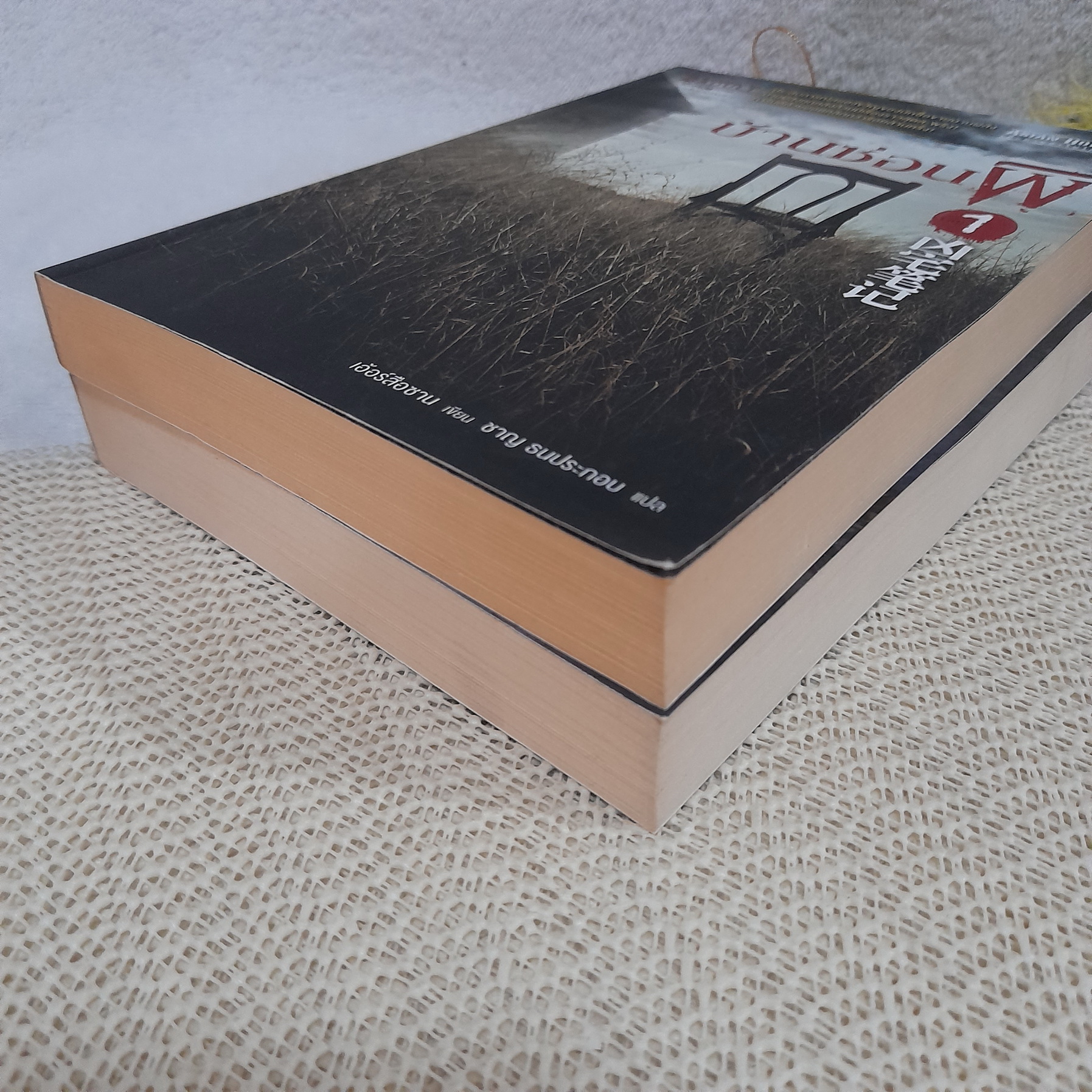บ้านซ่อนผี เล่ม 1,2 (ขายแยกเล่ม)