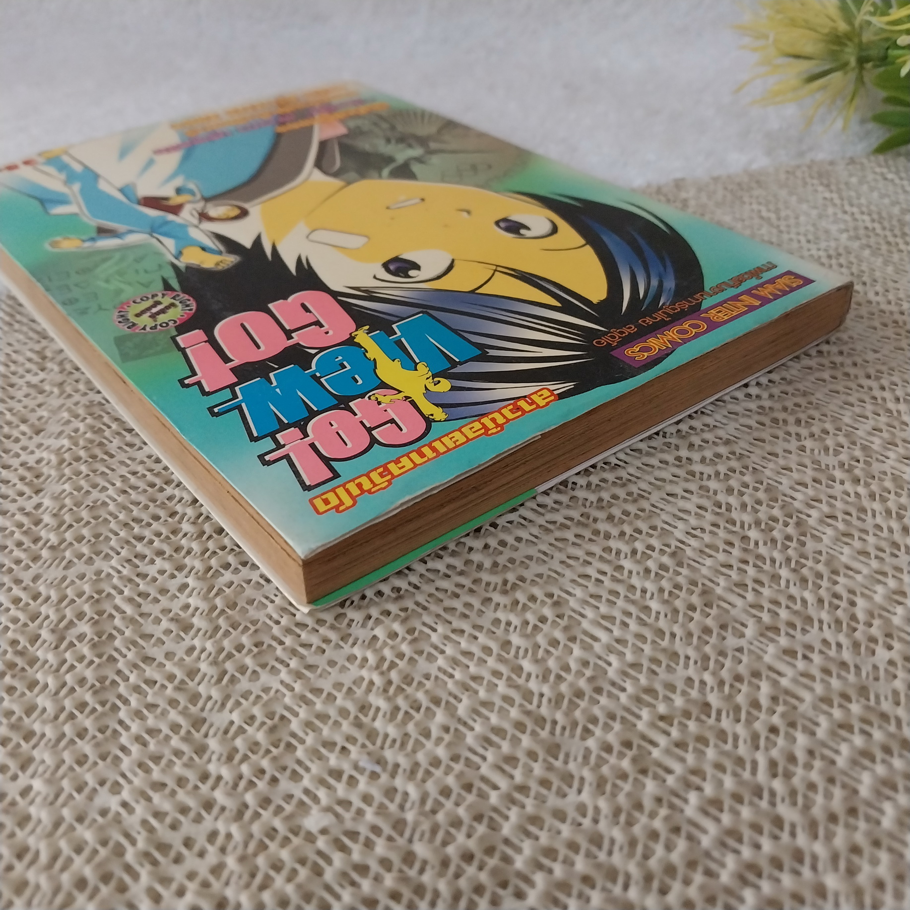 สาวน้อยเทควันโด Go View Go