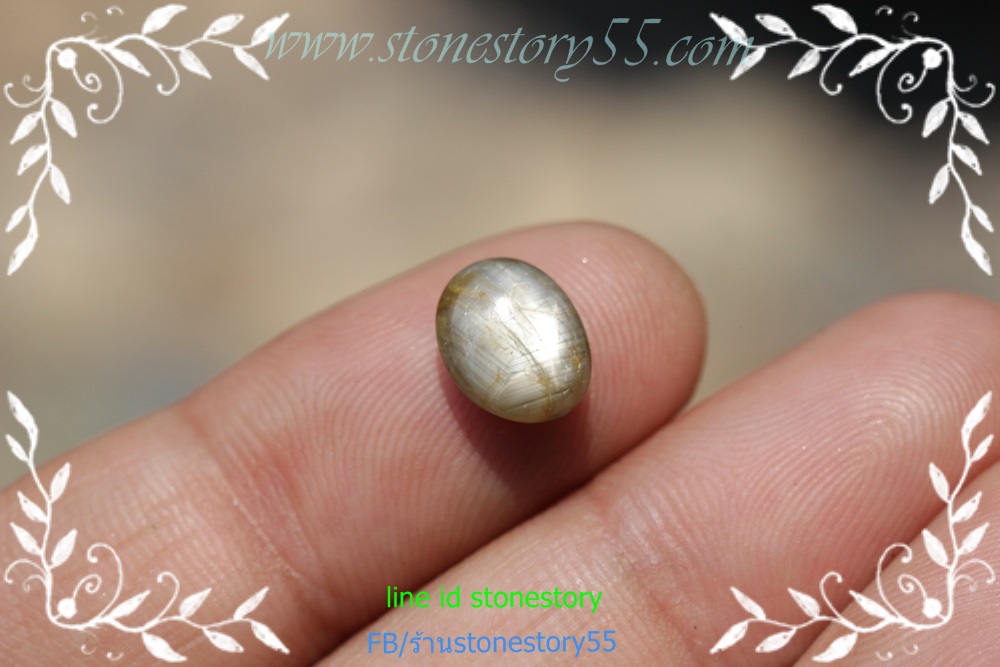 พลอยสตาร์