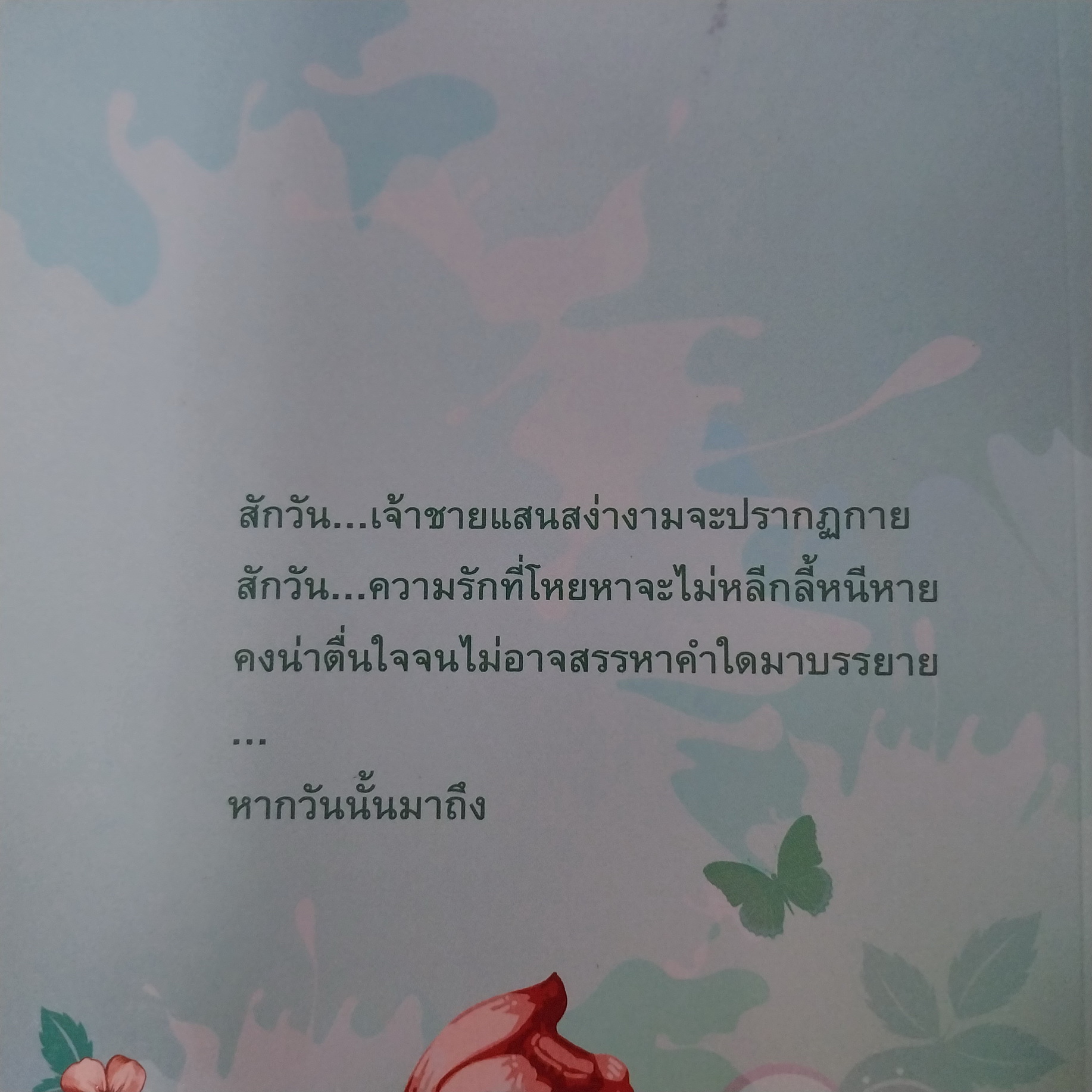 แค่รักนิดหน่อยก็พอ / แอลลี่