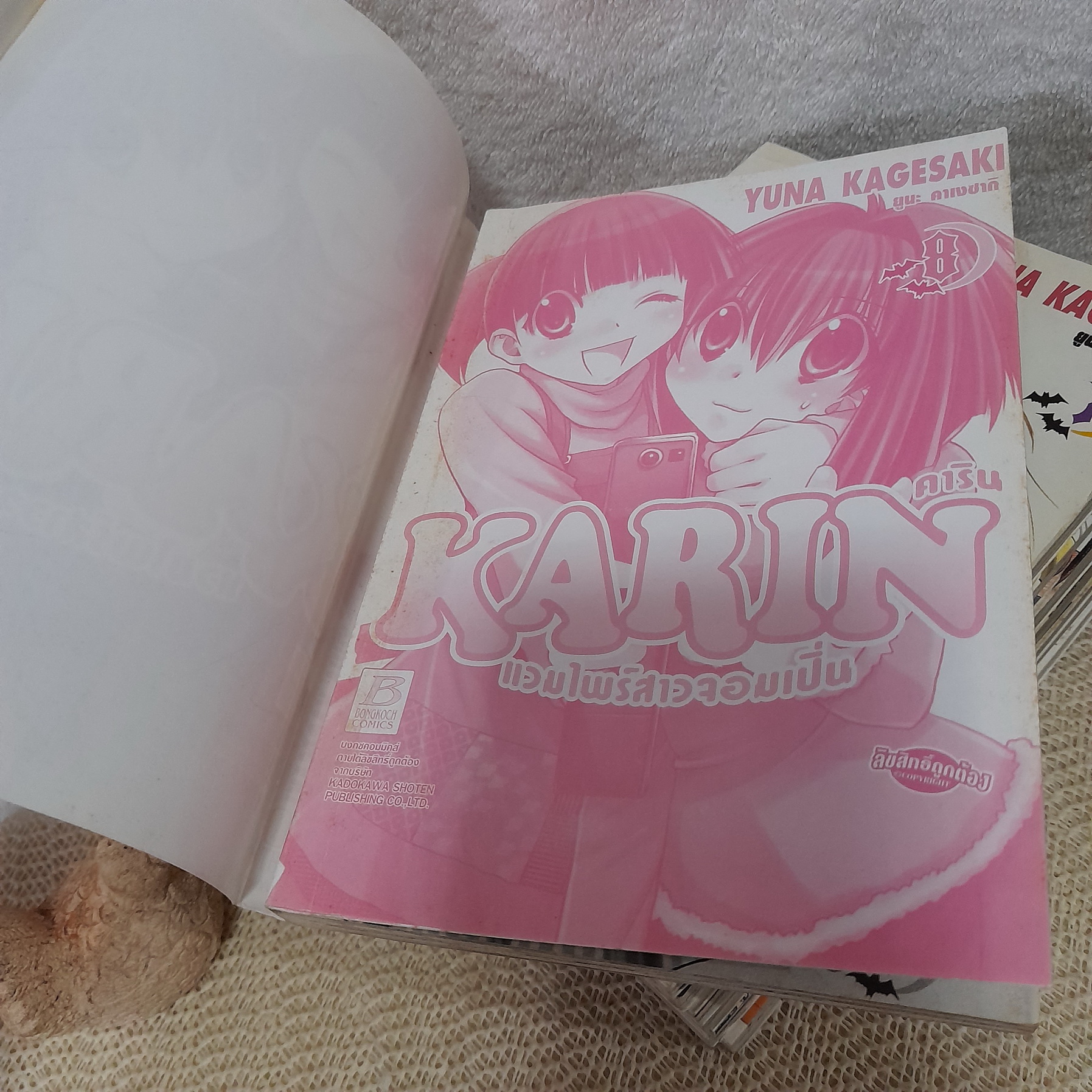 KARIN คาริน แวมไพร์สาวจอมเปิ่น 1-9,11,14 จบ / * ขาดเล่ม 10,12,13