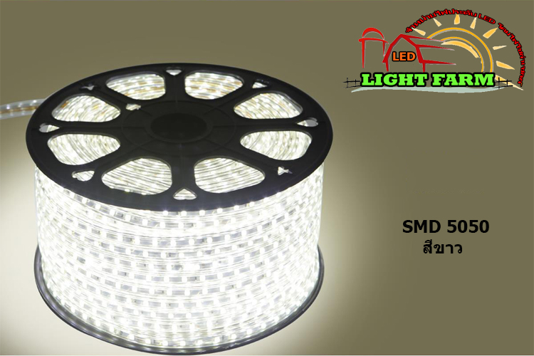 ไฟสายยาง SMD 5050 (50 m.) สีขาว (ท่อแบน)