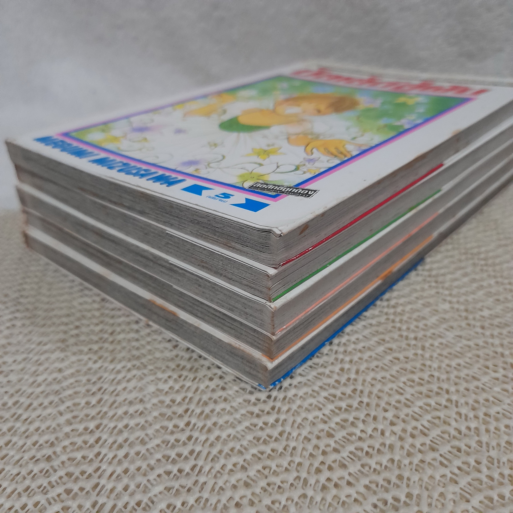 บัลเล่ต์สู่ฝัน 1-5 จบ / Megumi Mizusawa