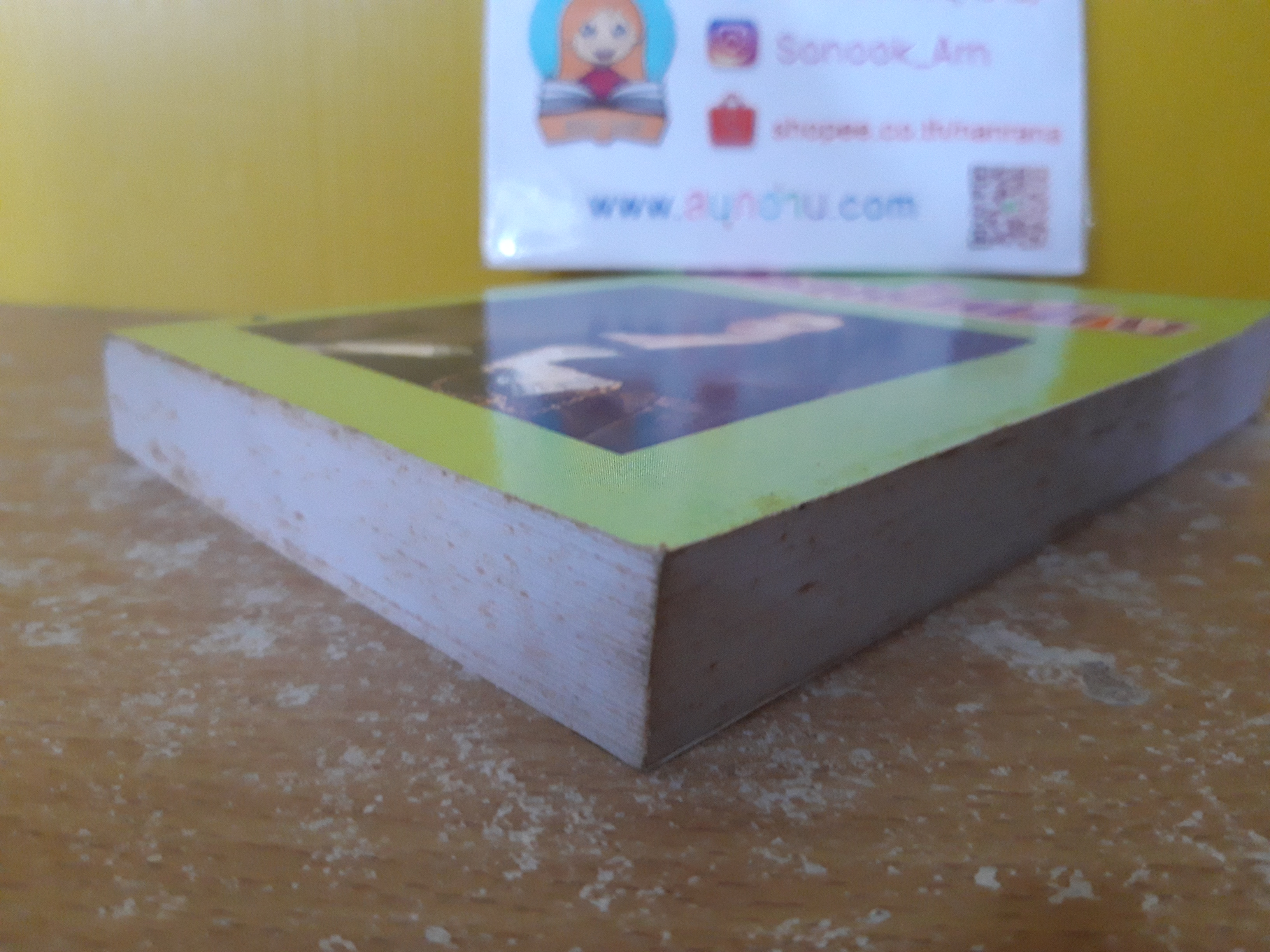 สาวน้ำแข็ง / จามรี พรรณชมพู