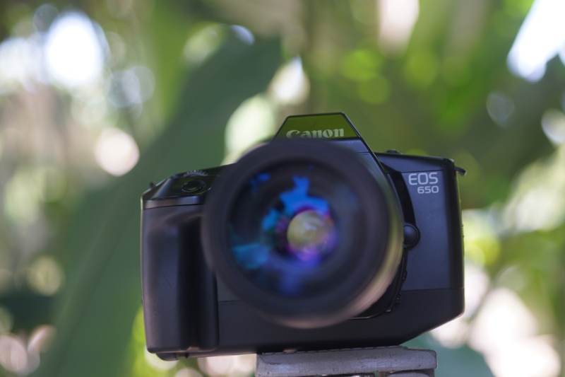 CANON EOS 650 CANON ZOOM LENS EF100-200MM.F4.5A