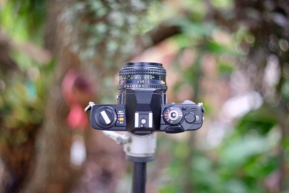 MINOLTA X-7 MINOLTA MD ROKKOR 50MM.F1.7