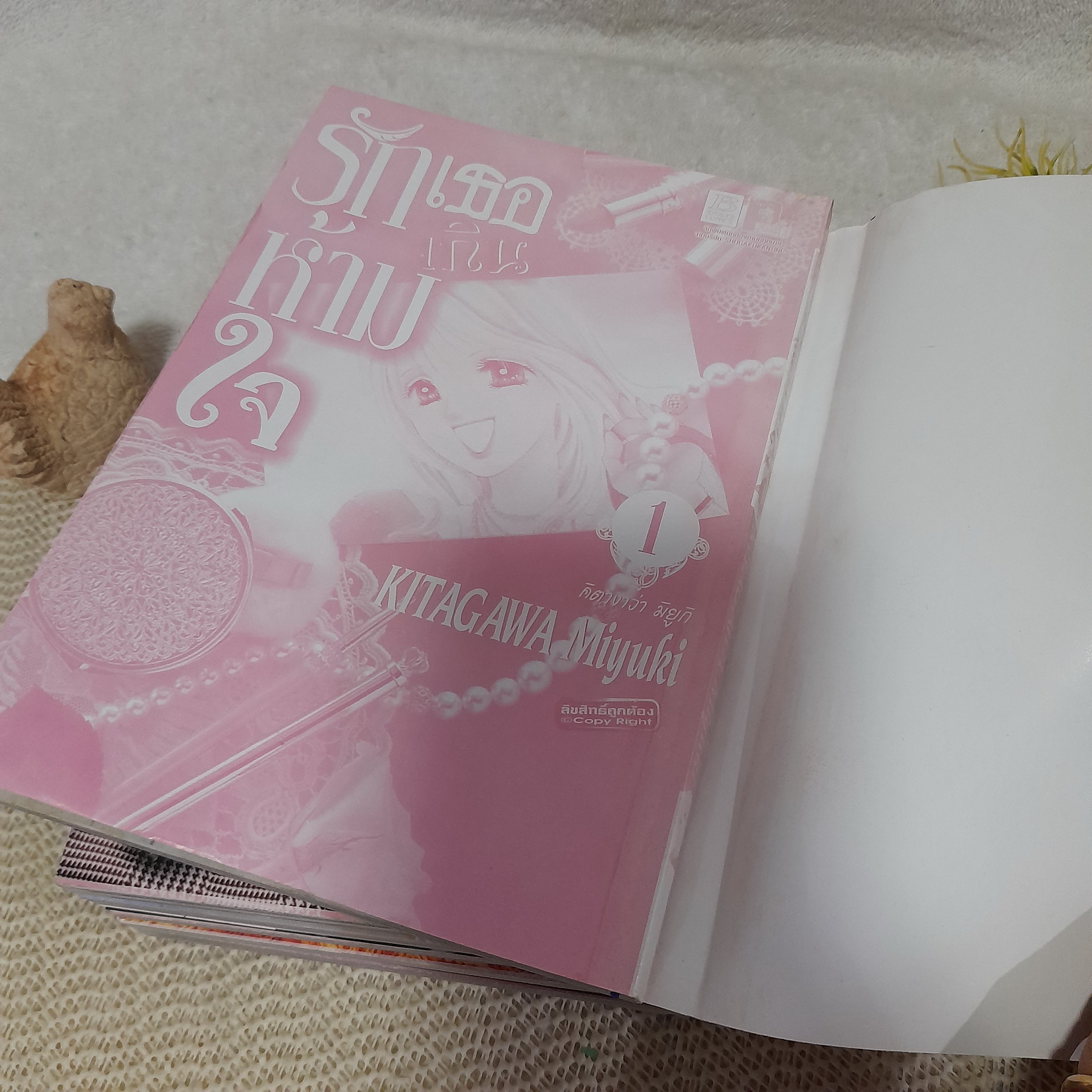 รักเธอเกินห้ามใจ 1-7 จบ / Kitagawa Miyuki