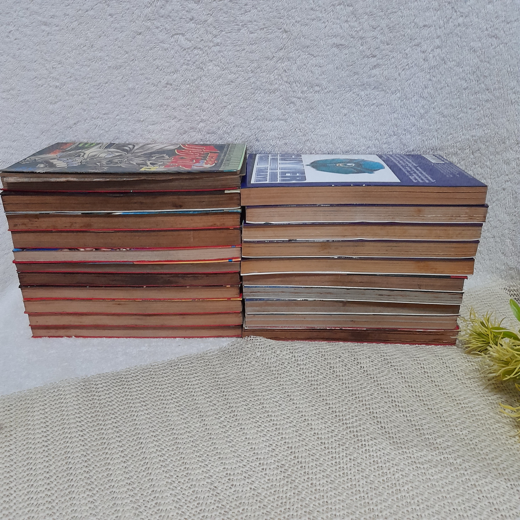 เกราะชีวะกายเวอร์ 1-19 + กายเวอร์ อมนุษย์เกราะชีวะ 21-24,28 / * ขาดเล่ม 20,25-27,29-32