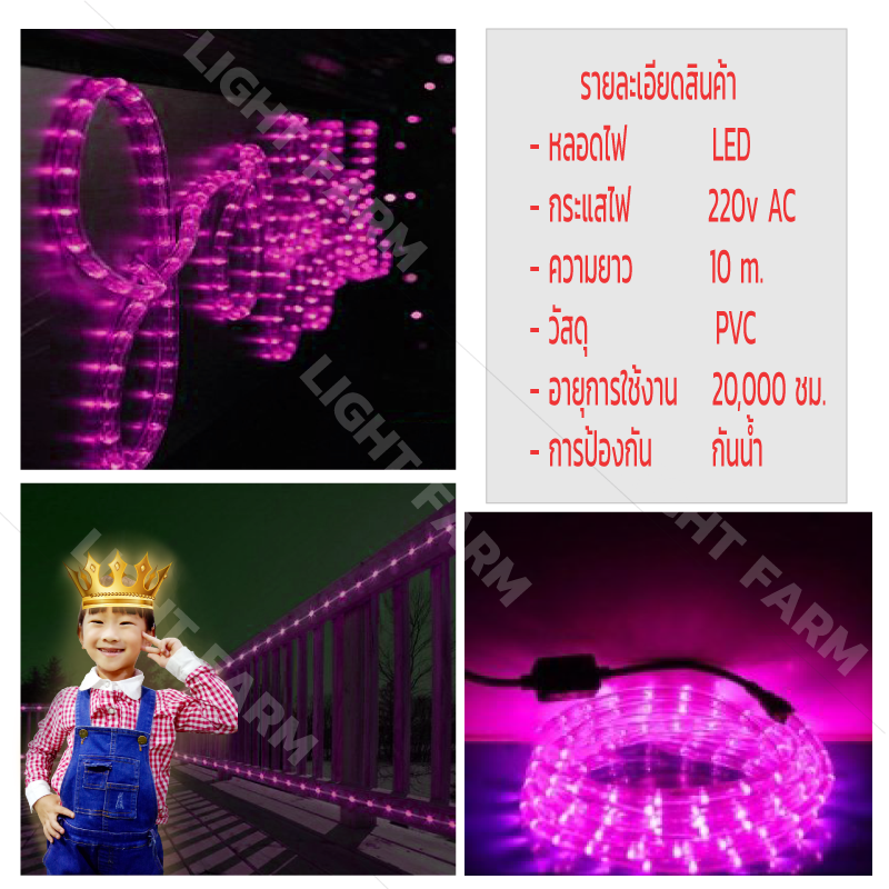 ไฟสายยางท่อกลม 10 ม. สีชมพู
