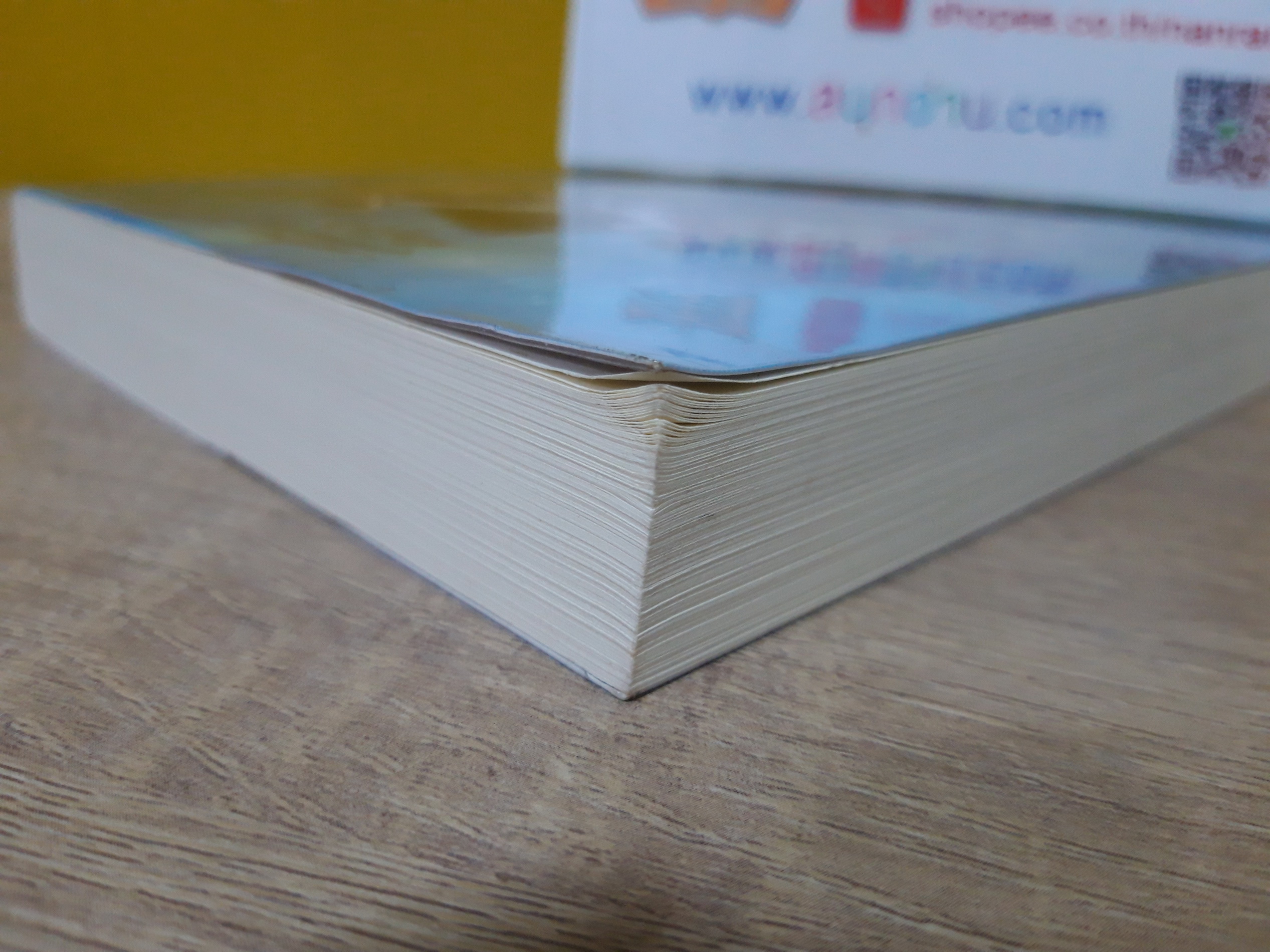 สลักรักไว้ที่ปลายฟ้า / ชุติกานต์