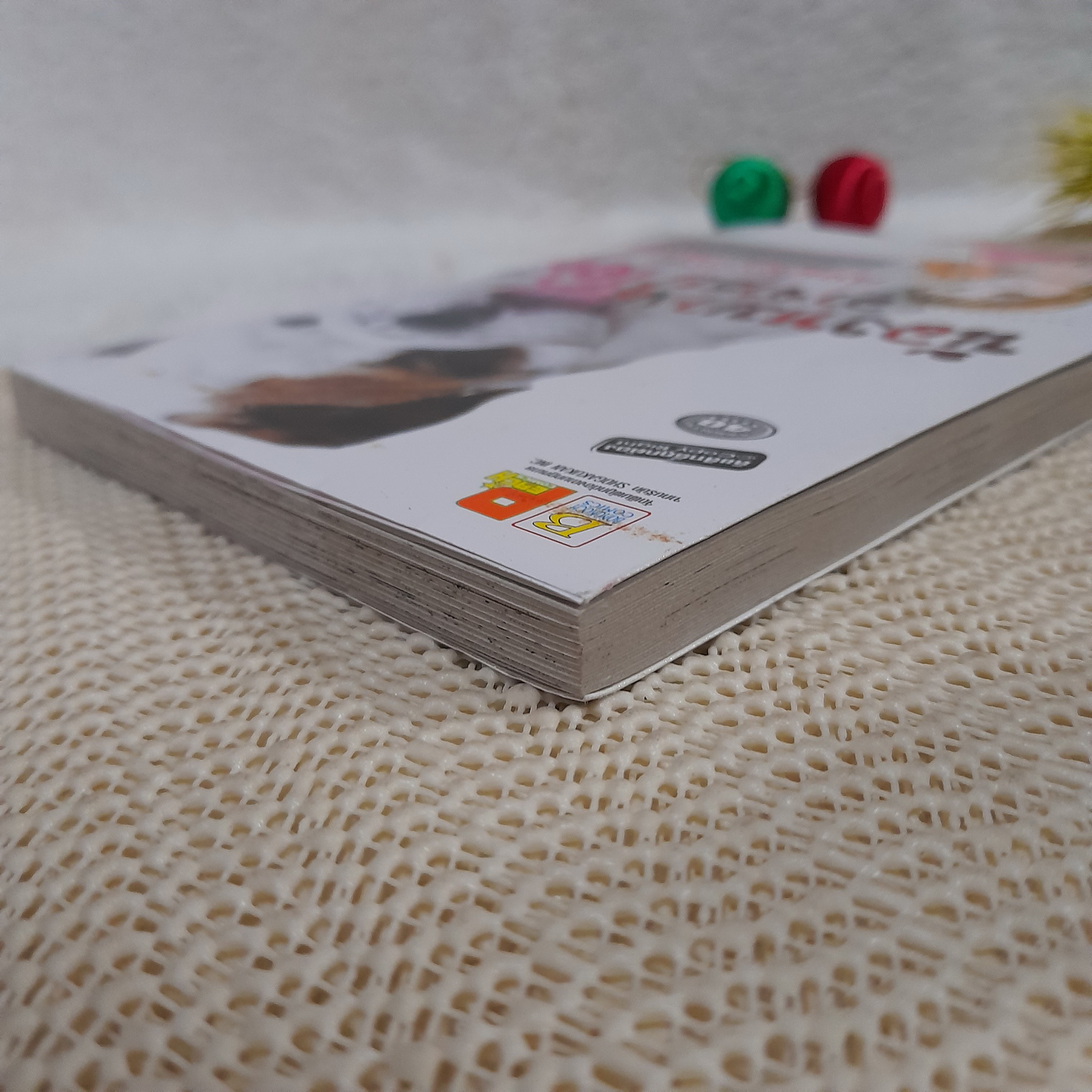 น้องหมาอาจารย์โฮ่ง