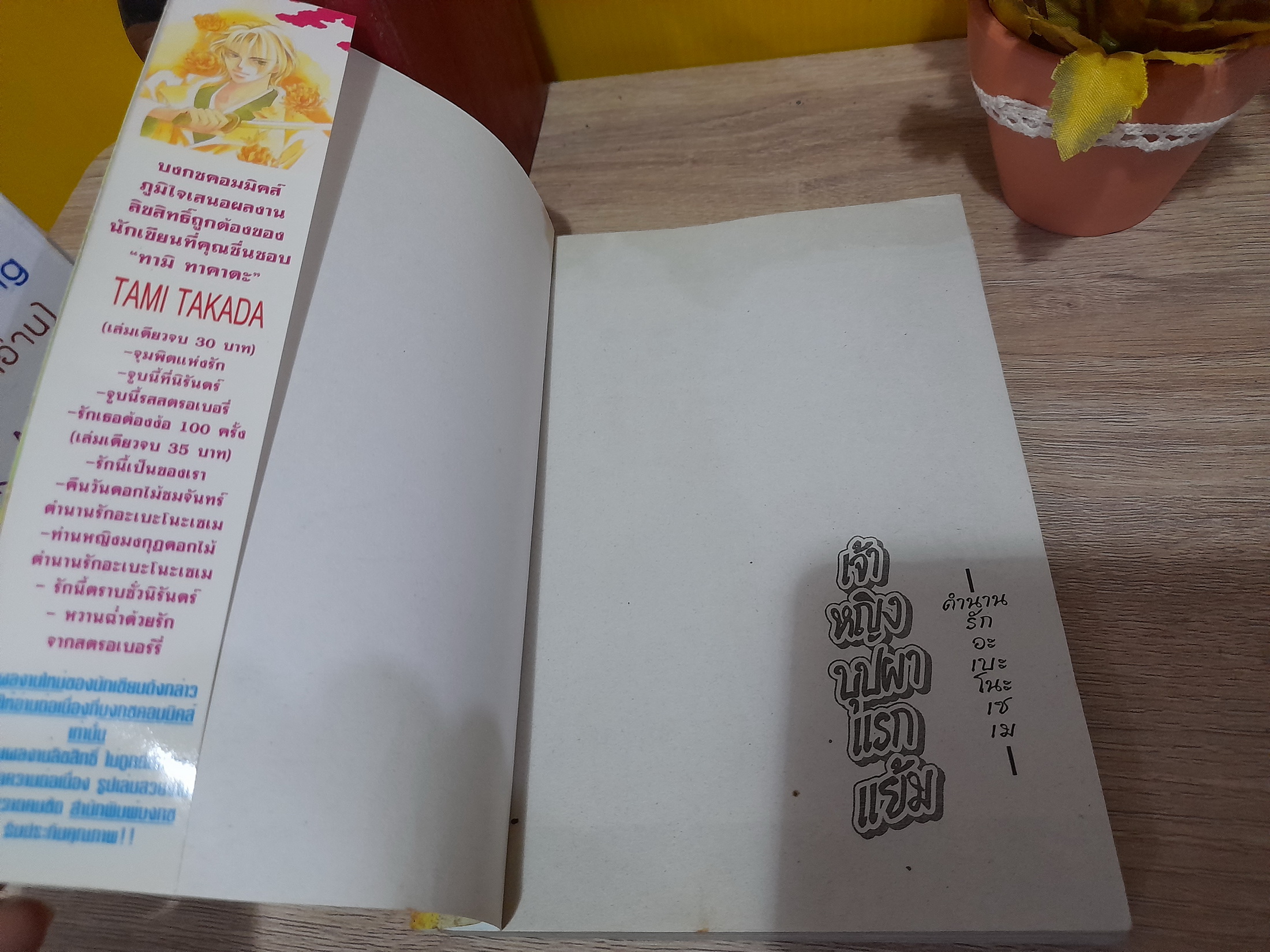 เจ้าหญิงบุปผาแรกแย้ม / Tami Takada