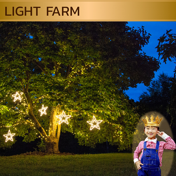 Star LED 54 cm , Snowflake LED 37 cm.