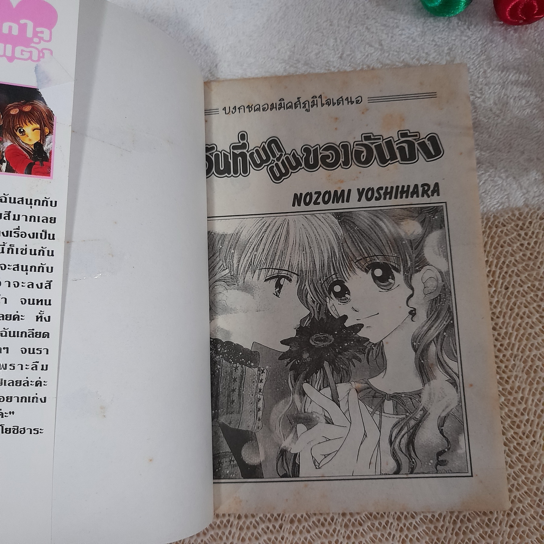 วันที่ผกผันของอันจัง / Nozomi Yoshihara