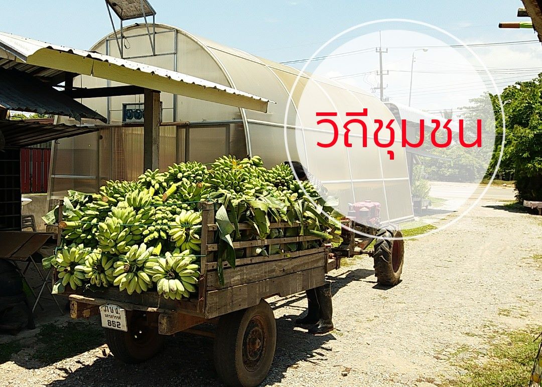 กล้วยฉาบ-ริมโขง หวานน้อย (140g.)